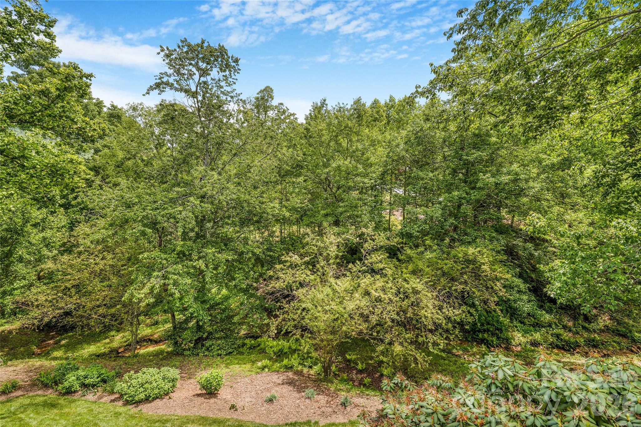 50 Meadow Village Lane Property Photo 17