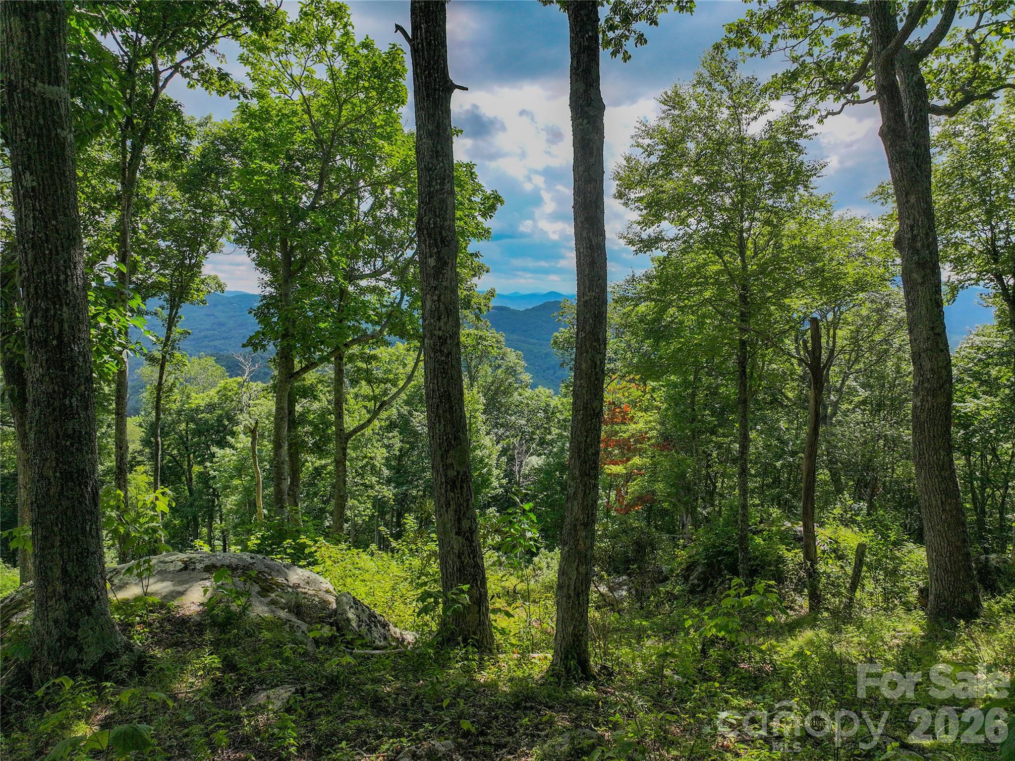 G30 Lodge Woods Trail Property Photo 1