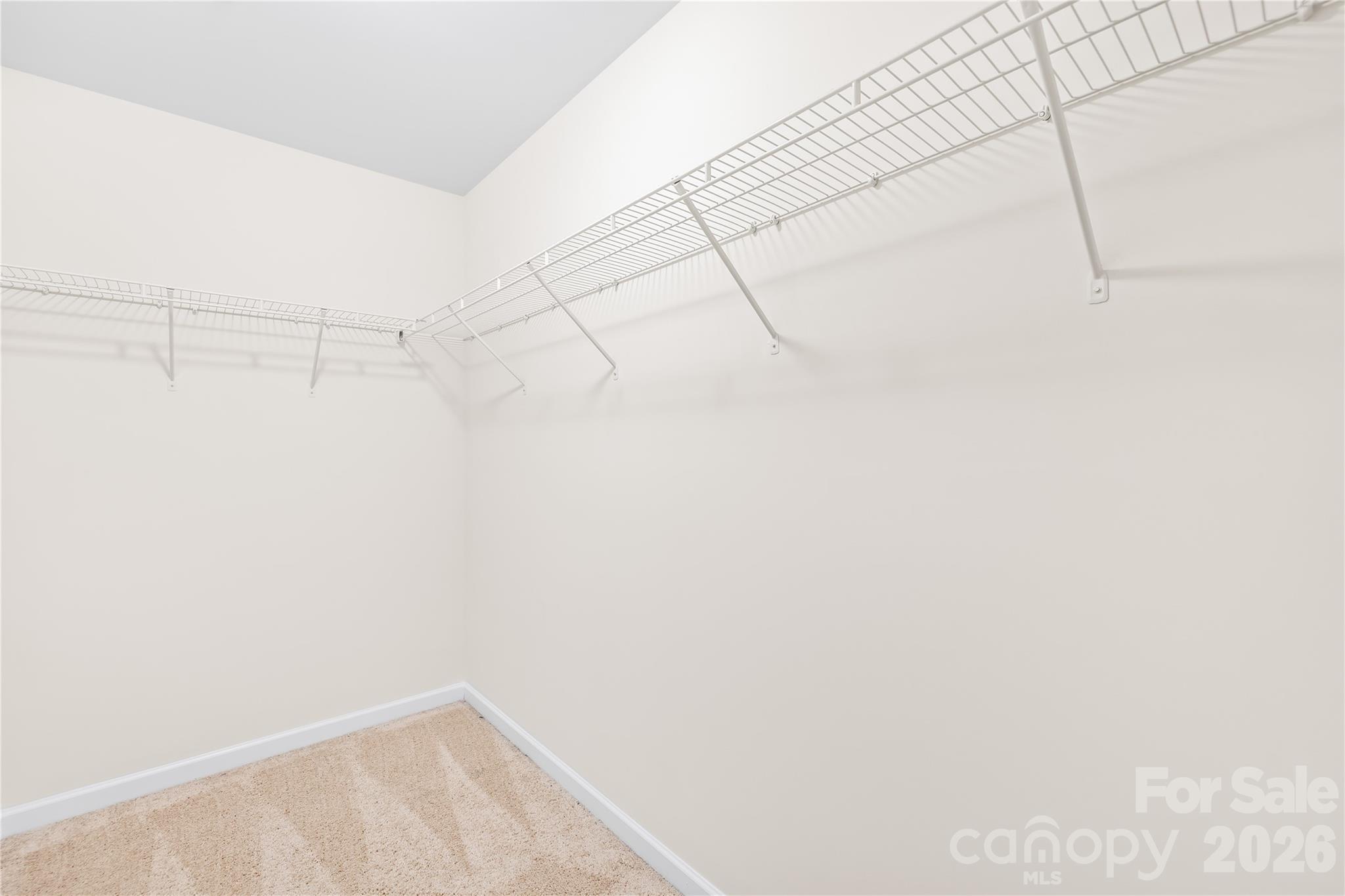 14107 Magnolia Walk Drive Property Photo 42