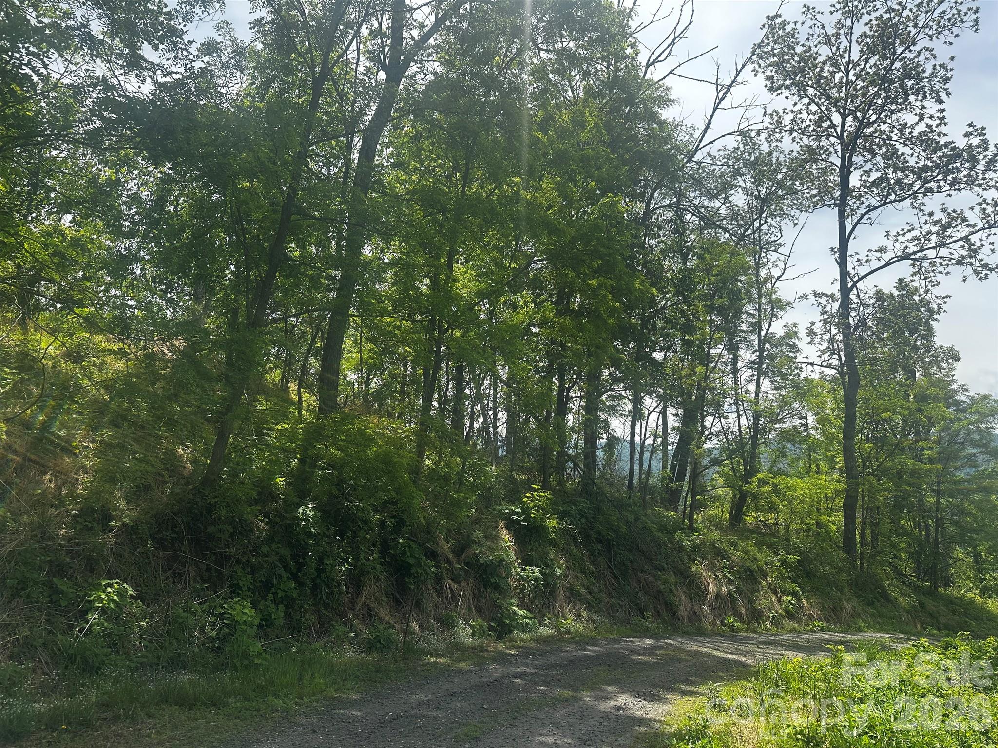 00 John Sparks Road Property Photo 18