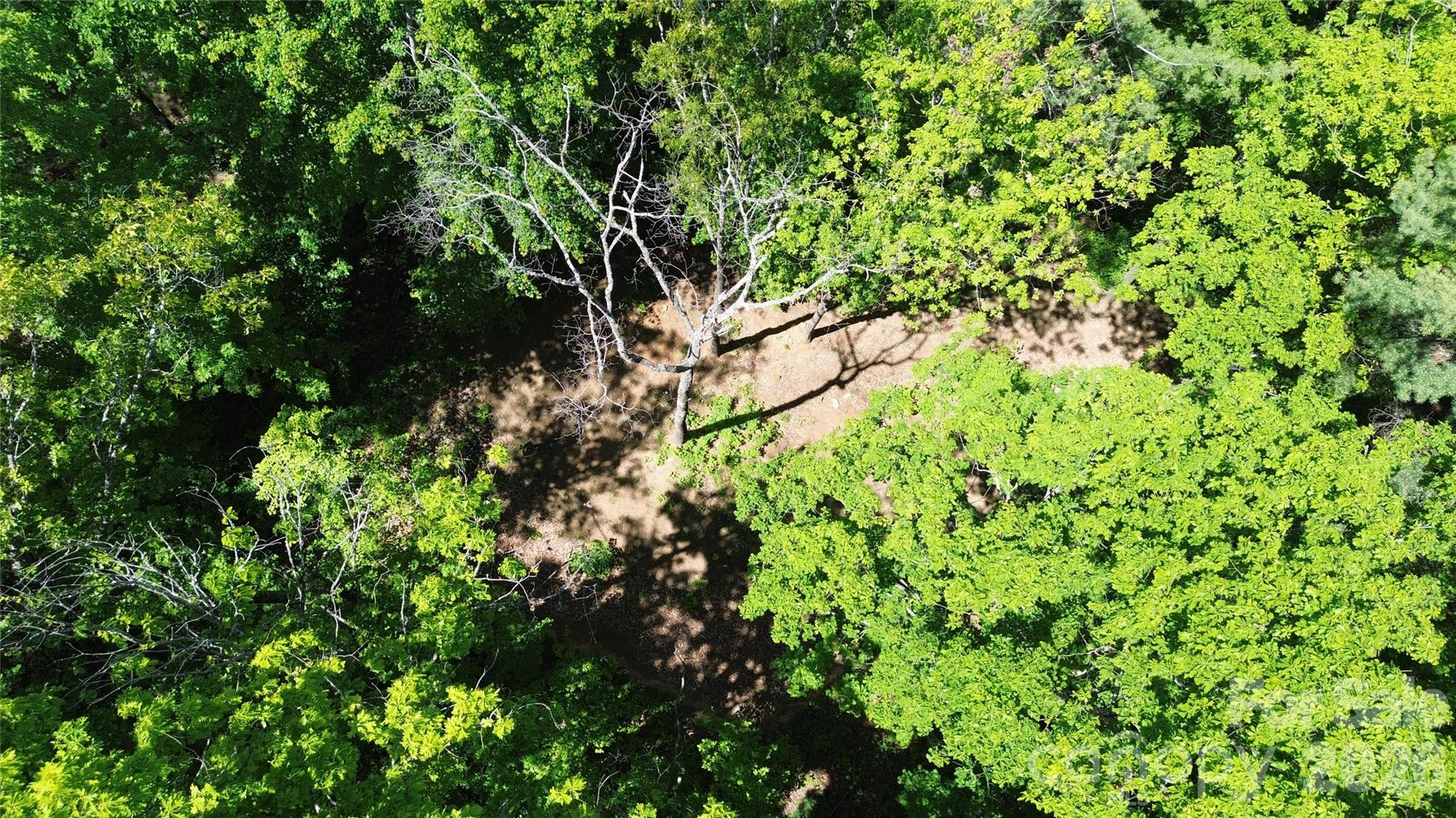 99999 Pink Fox Cove Road Property Photo 1