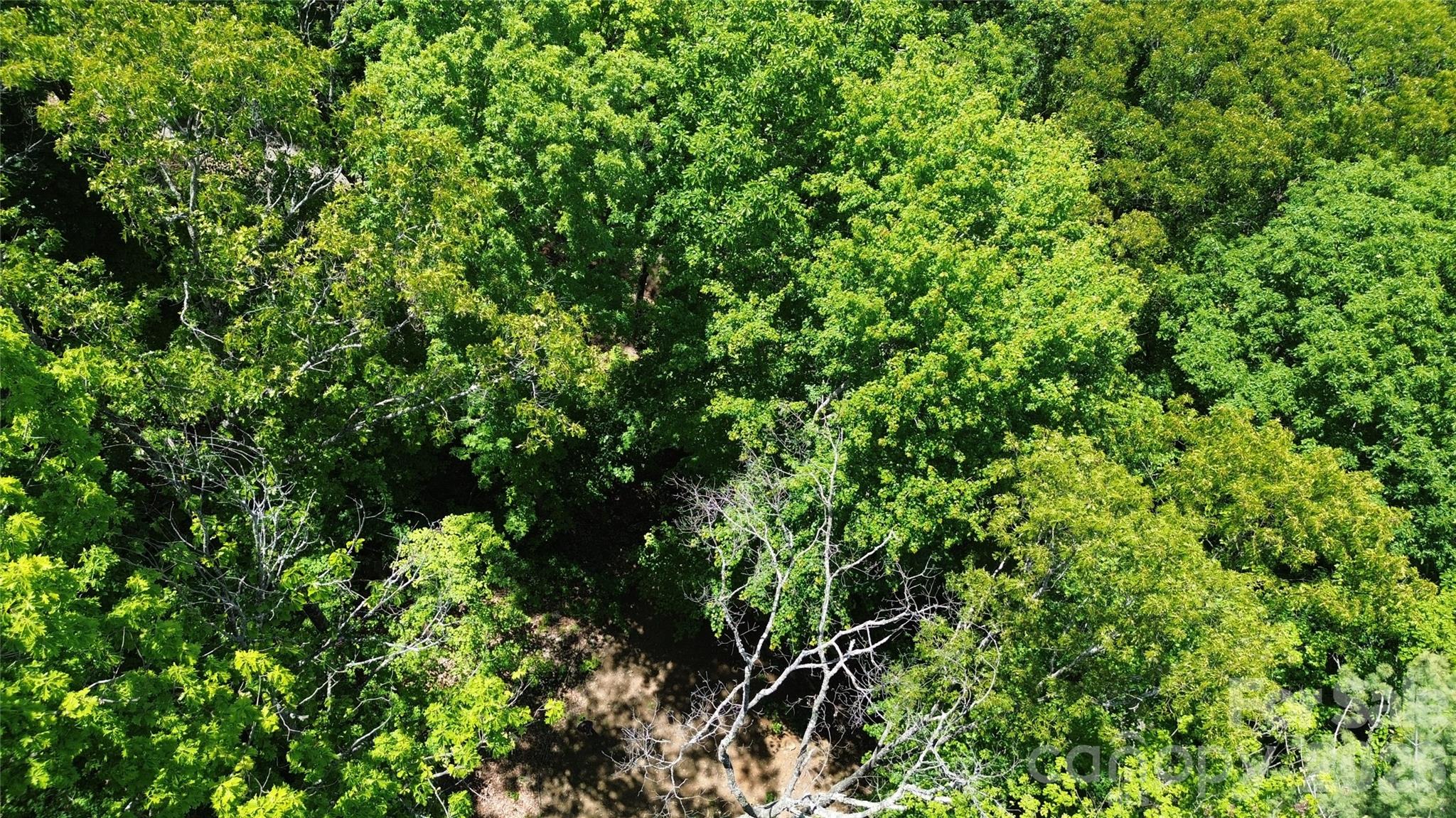 99999 Pink Fox Cove Road Property Photo 2