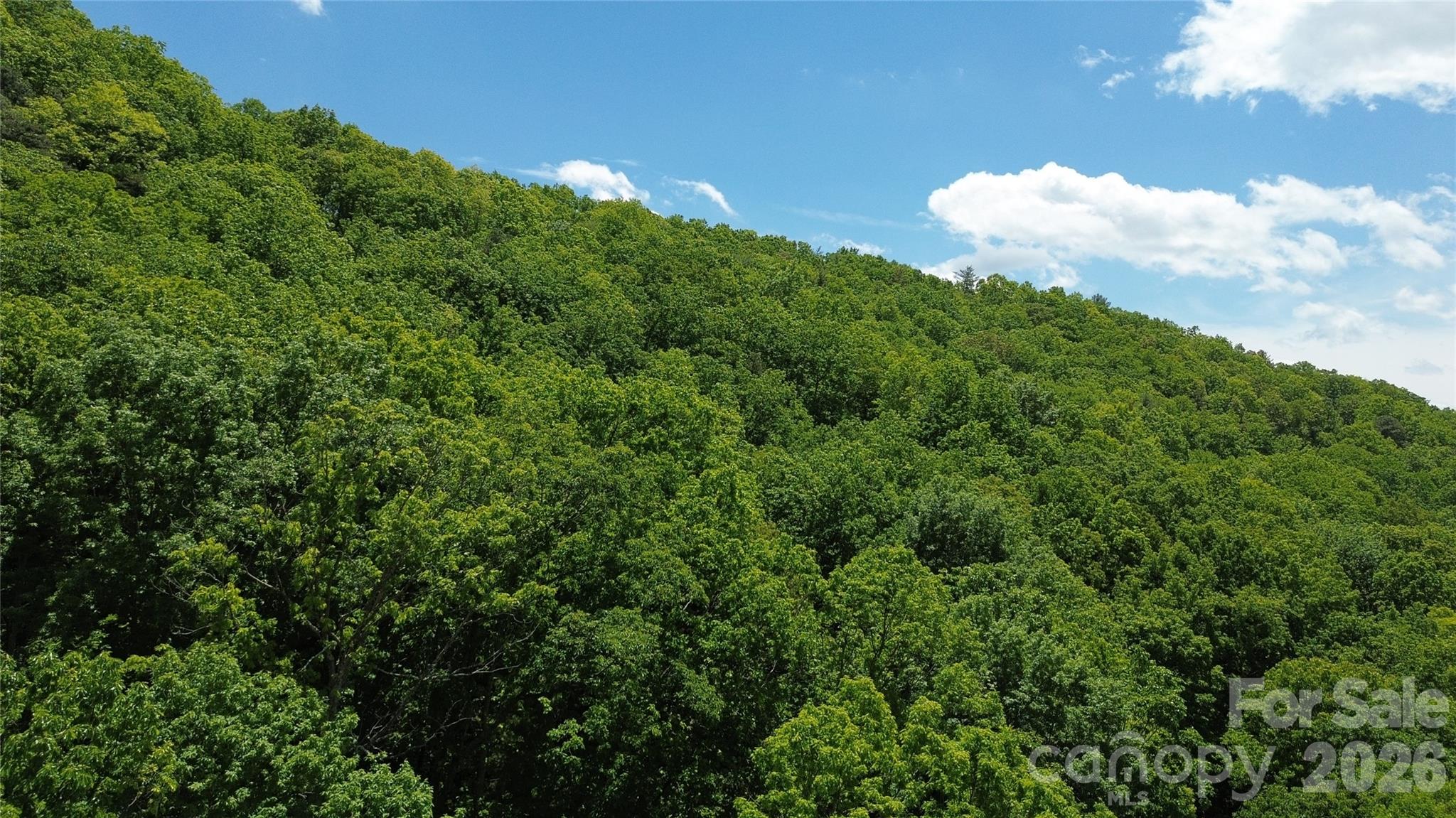 99999 Pink Fox Cove Road Property Photo 3