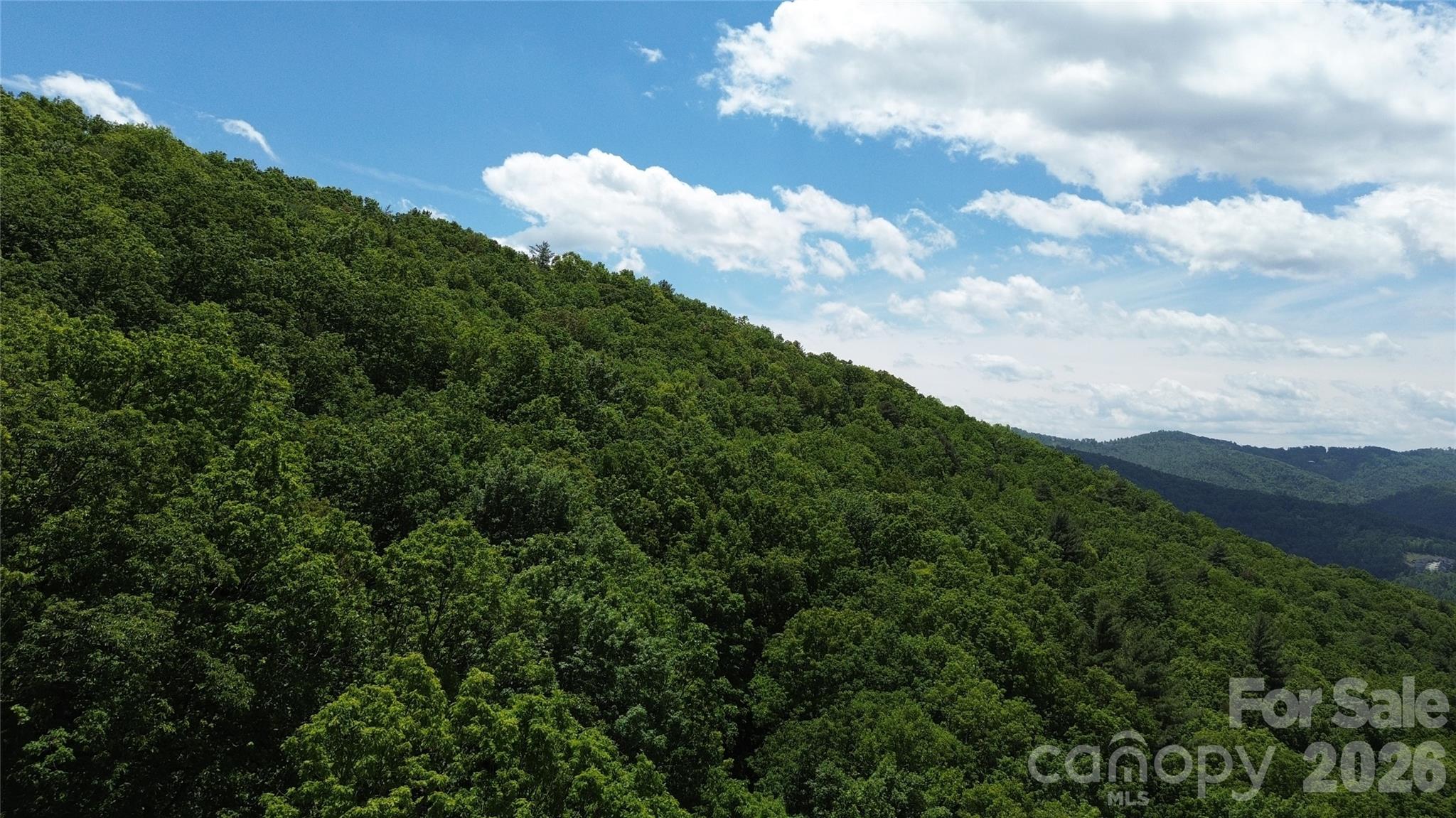 99999 Pink Fox Cove Road Property Photo 5