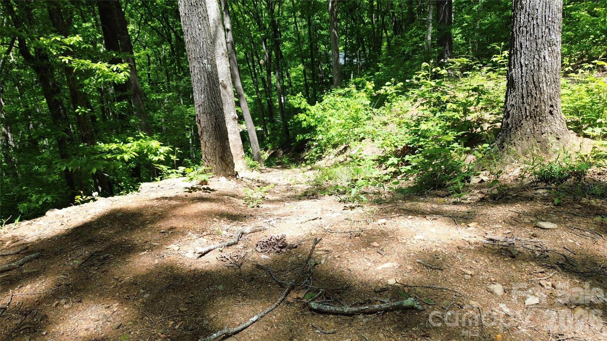 99999 Pink Fox Cove Road Property Photo 7
