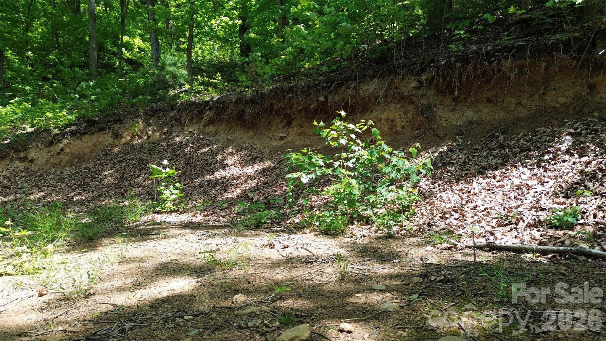 99999 Pink Fox Cove Road Property Photo 11