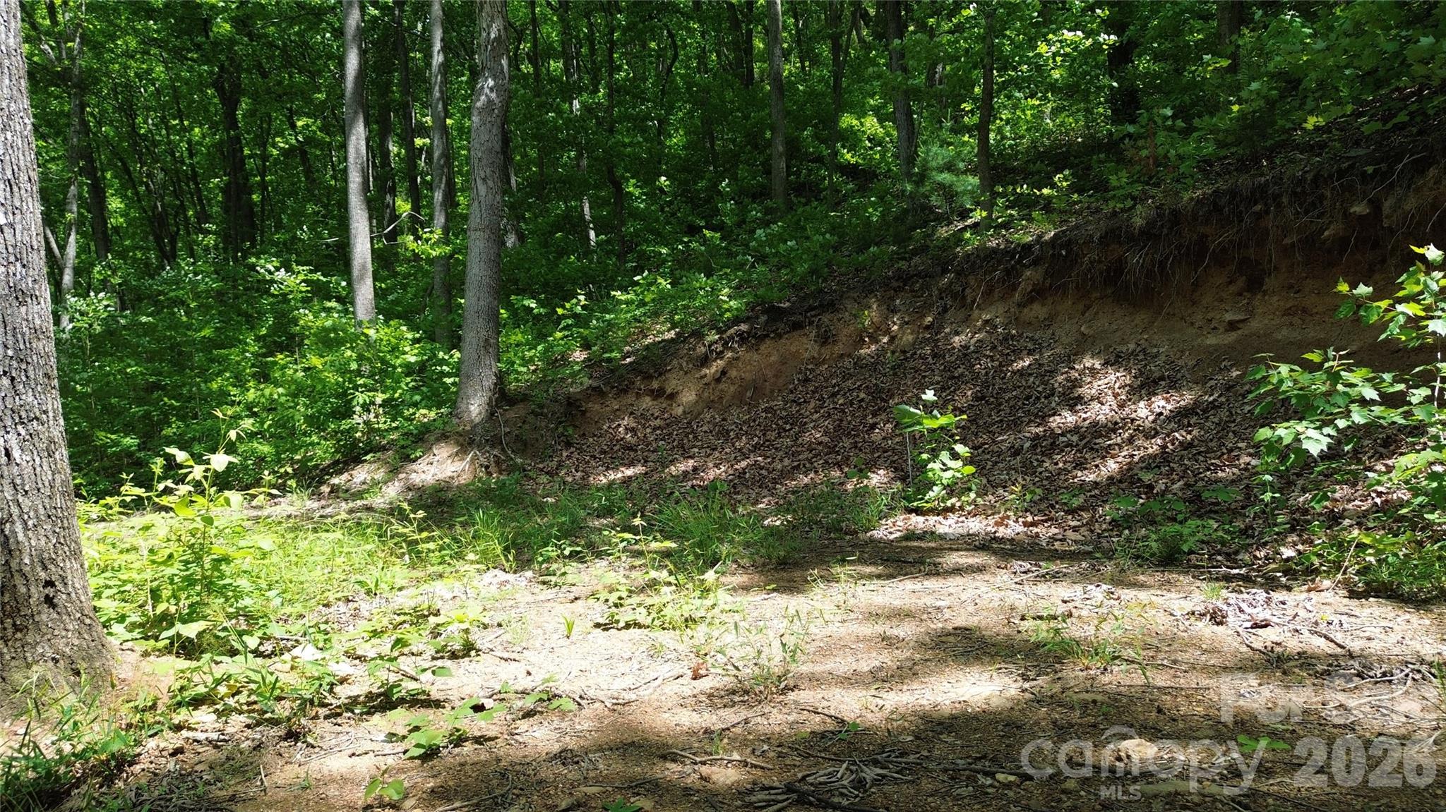 99999 Pink Fox Cove Road Property Photo 12