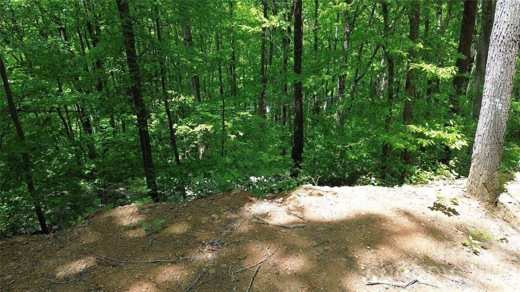 99999 Pink Fox Cove Road Property Photo 13