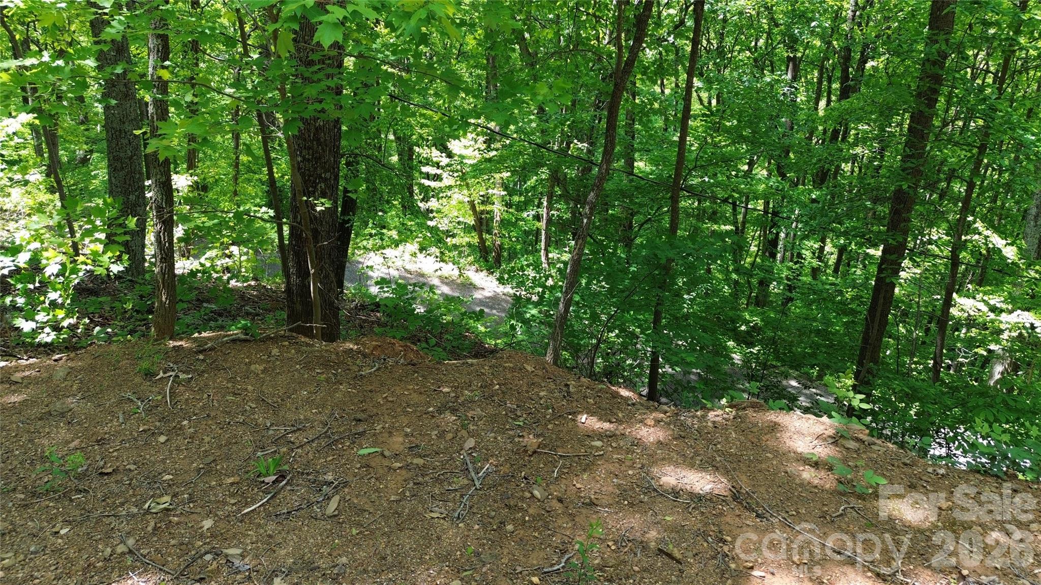 99999 Pink Fox Cove Road Property Photo 14