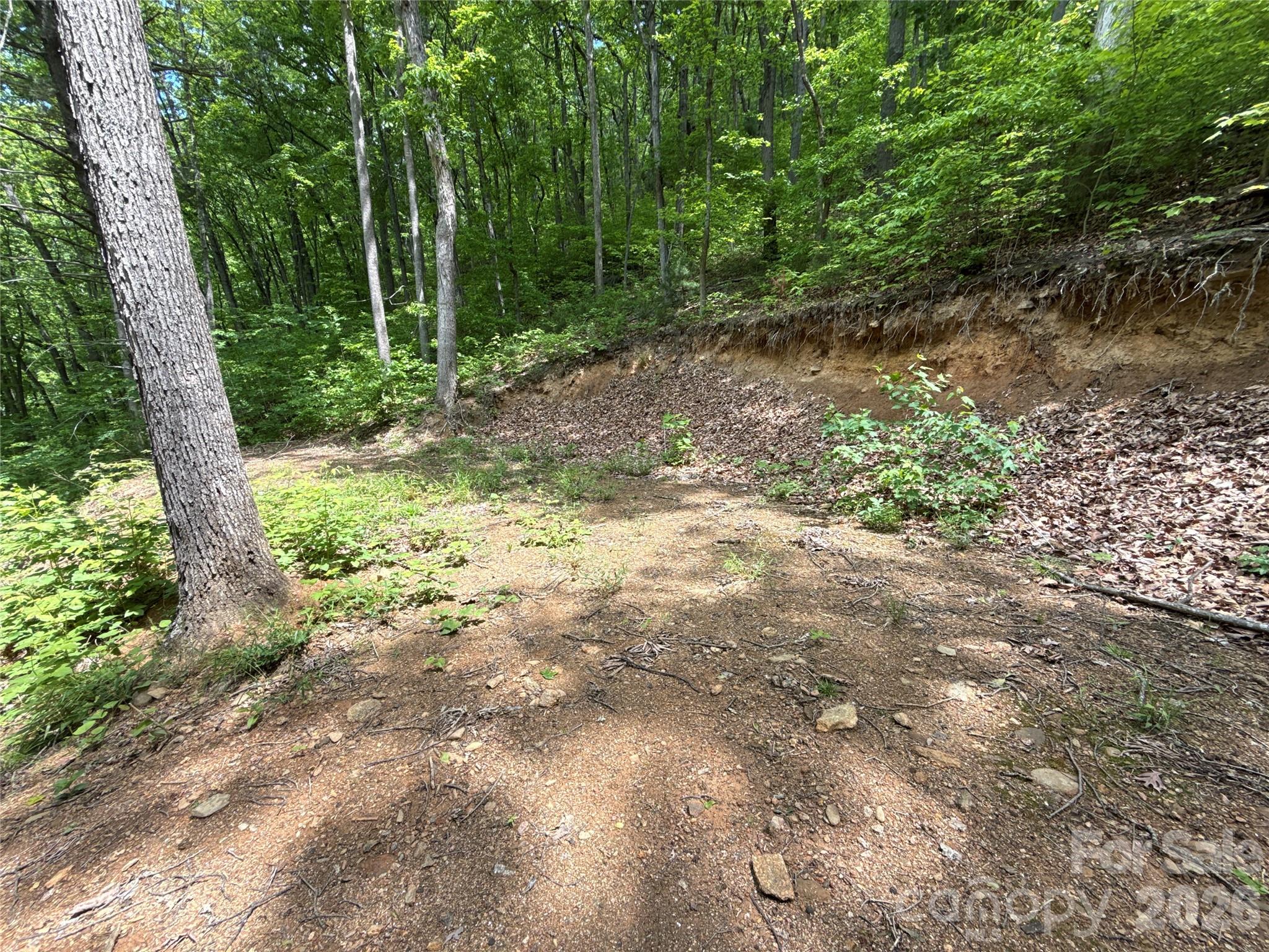 99999 Pink Fox Cove Road Property Photo 16