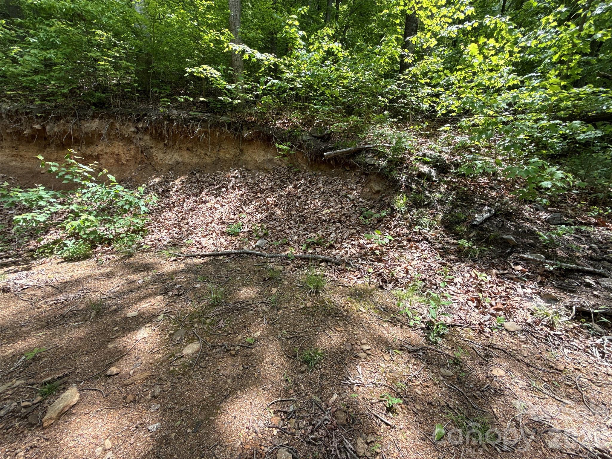 99999 Pink Fox Cove Road Property Photo 17