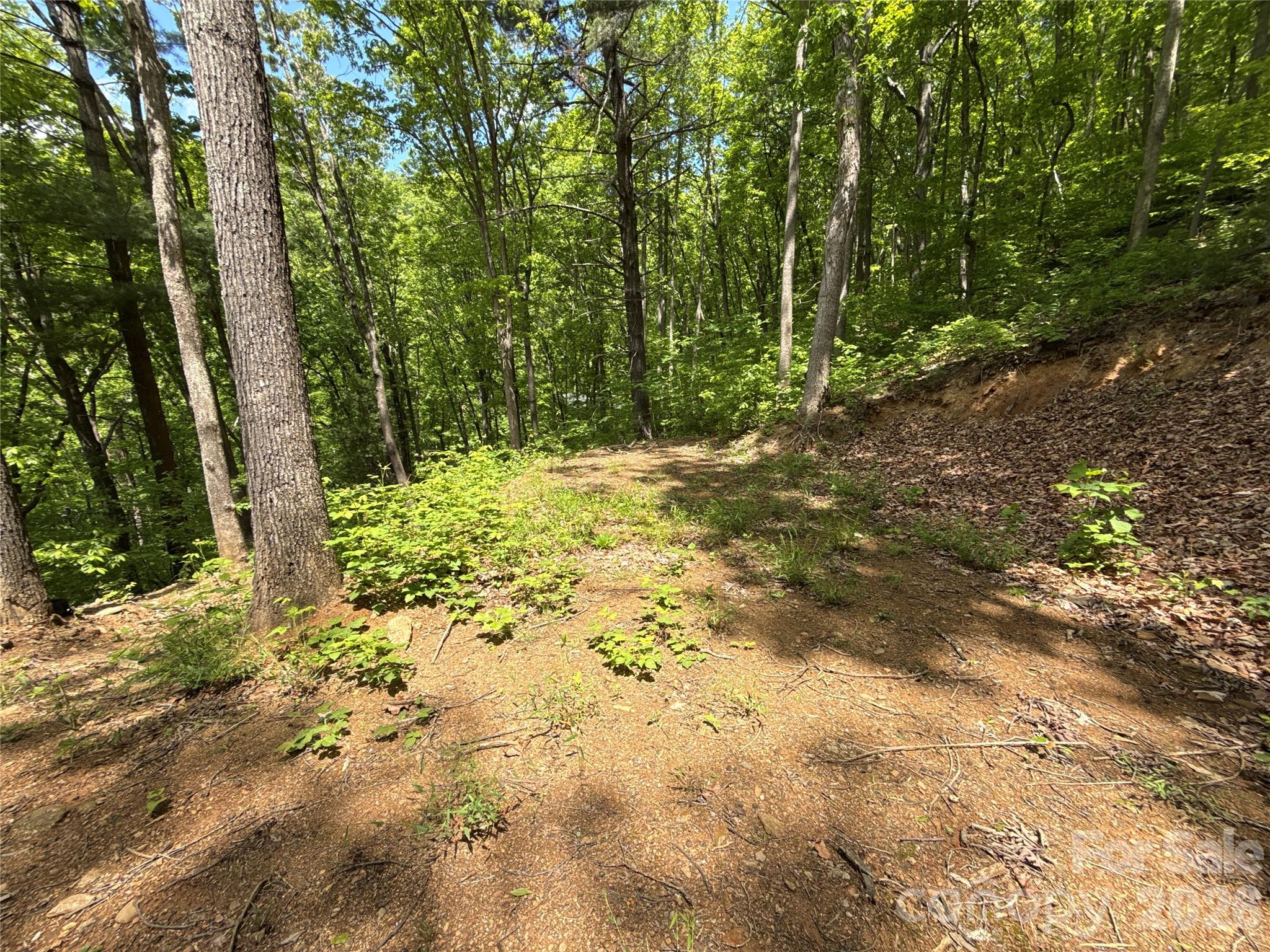 99999 Pink Fox Cove Road Property Photo 18