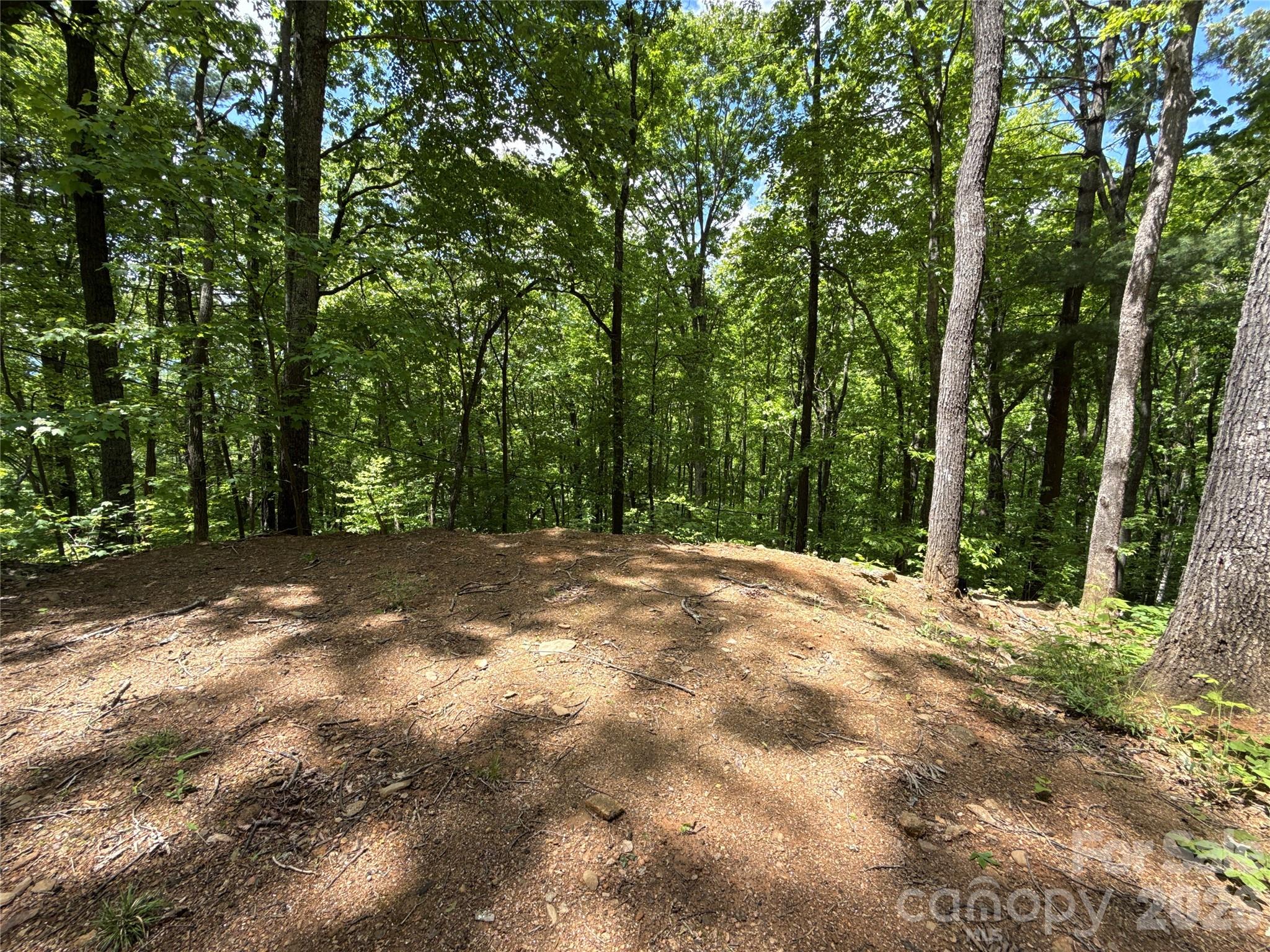 99999 Pink Fox Cove Road Property Photo 19