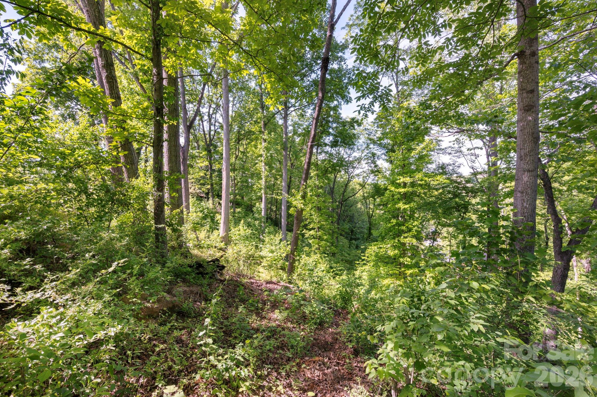 17 Tulip Poplar Trail 30 Property Photo 5
