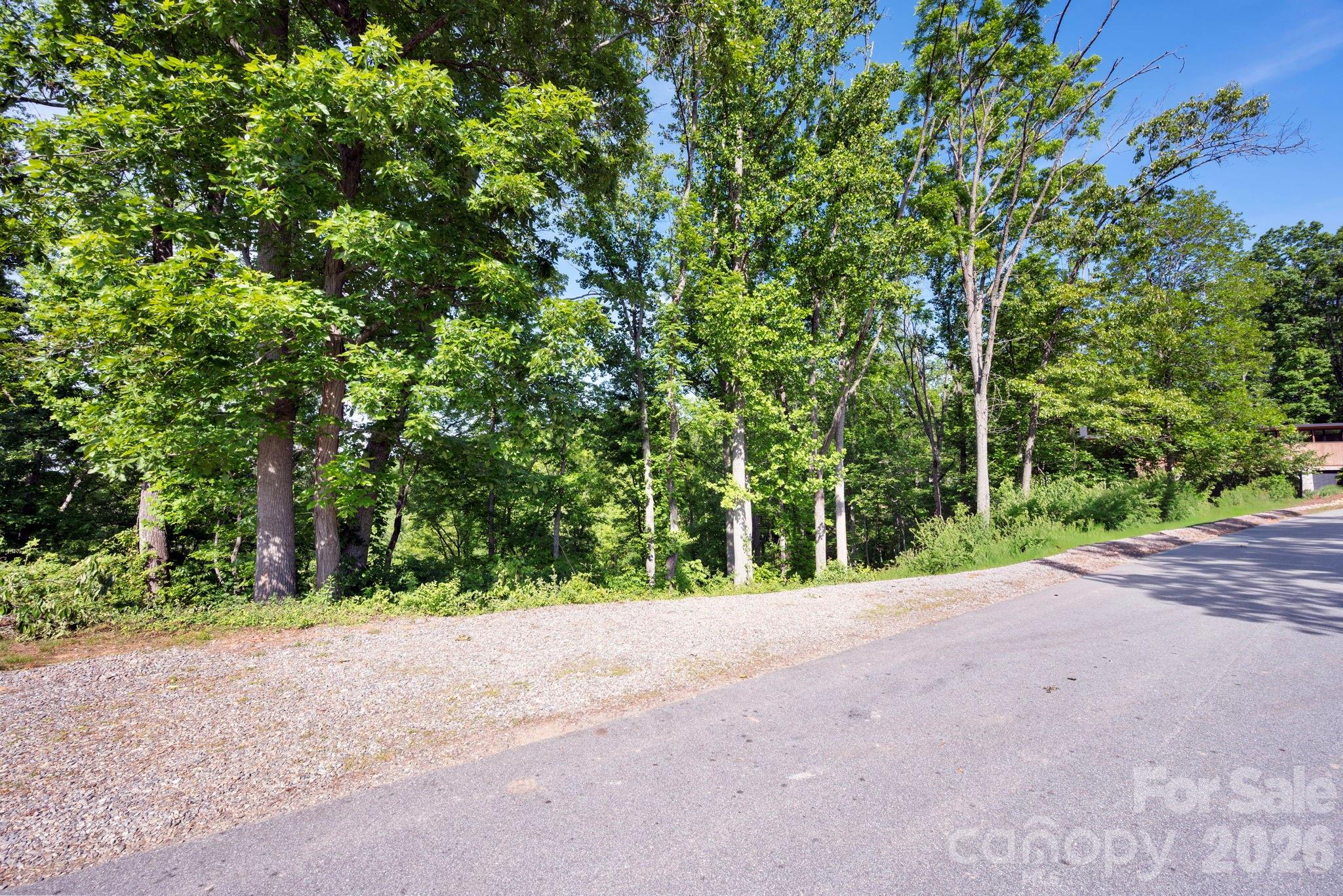 17 Tulip Poplar Trail 30 Property Photo 6