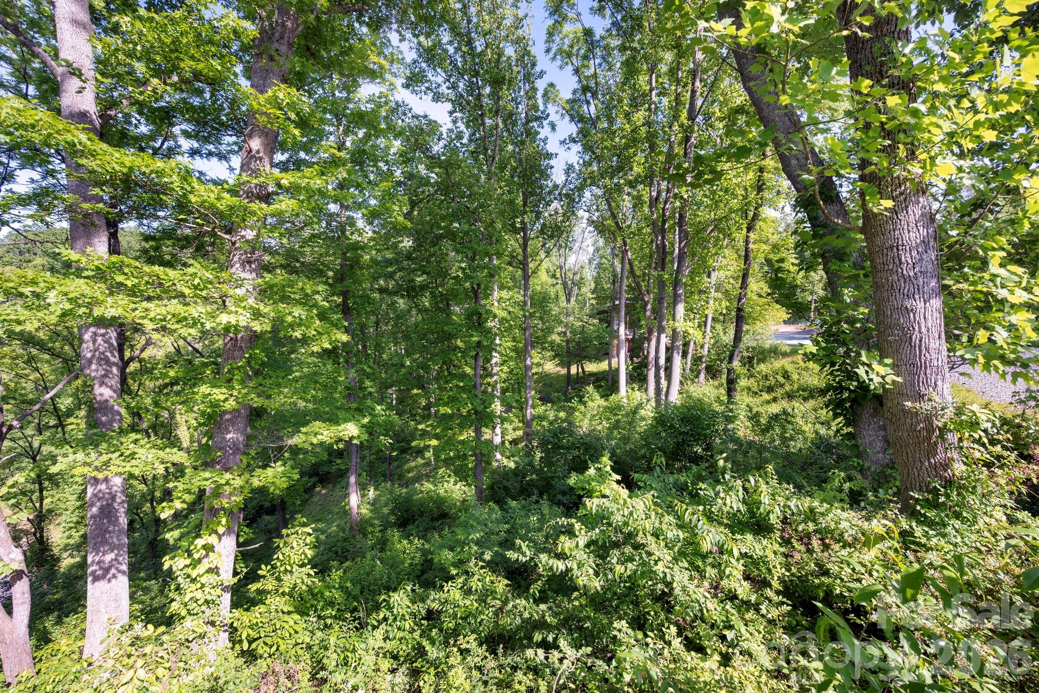17 Tulip Poplar Trail 30 Property Photo 7