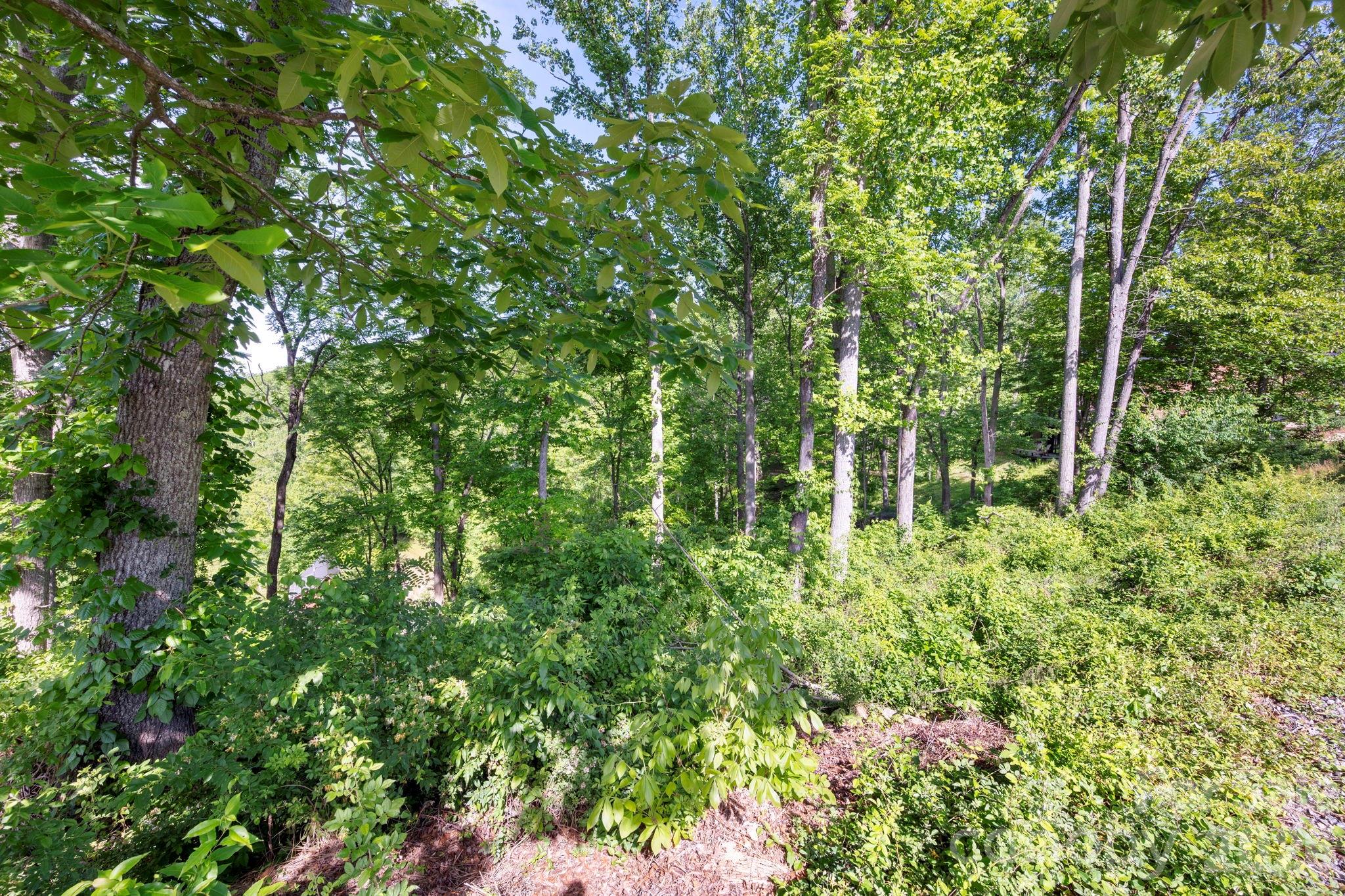 17 Tulip Poplar Trail 30 Property Photo 8
