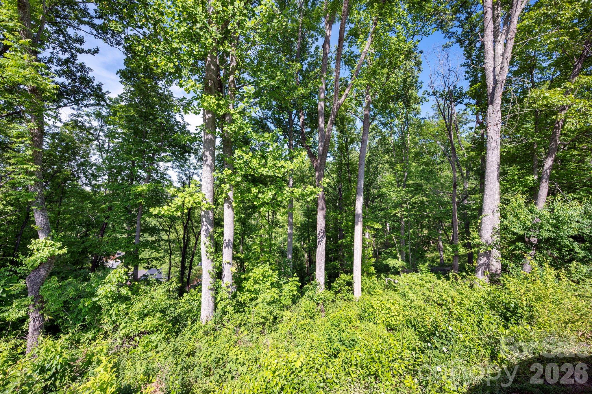 17 Tulip Poplar Trail 30 Property Photo 10