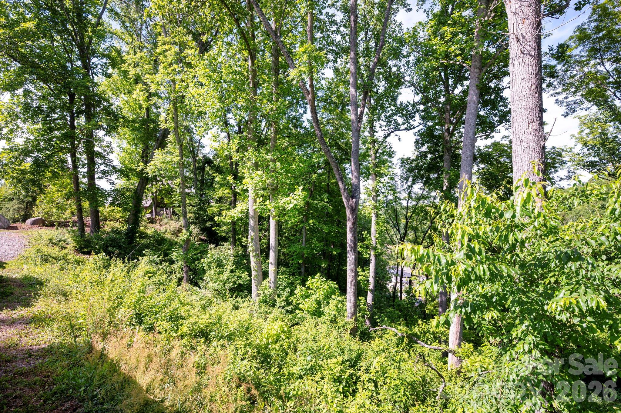 17 Tulip Poplar Trail 30 Property Photo 11
