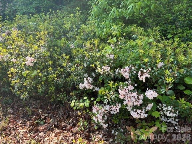 000 Gettys Road Property Photo 3