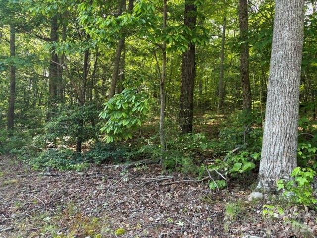 000 Gettys Road Property Photo 4