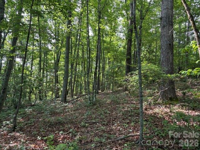 000 Gettys Road Property Photo 7
