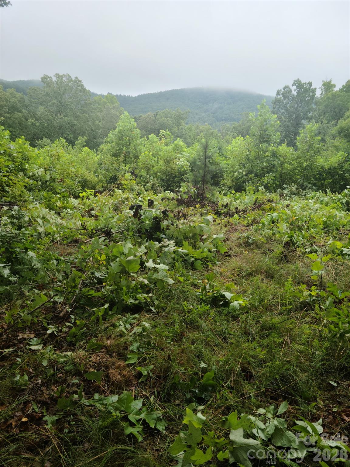 0 Osprey Lane Property Photo 2