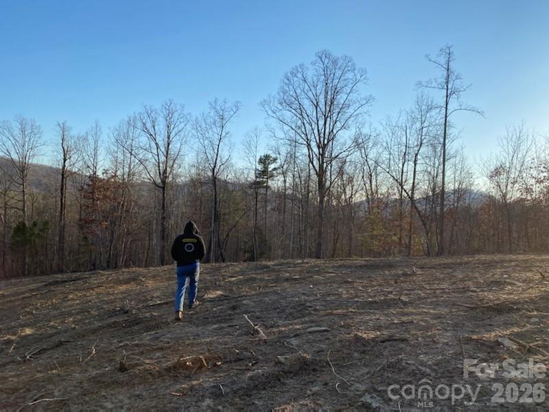 0 Osprey Lane Property Photo 4