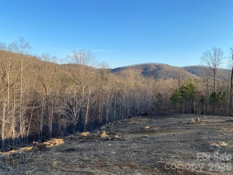 0 Osprey Lane Property Photo 7