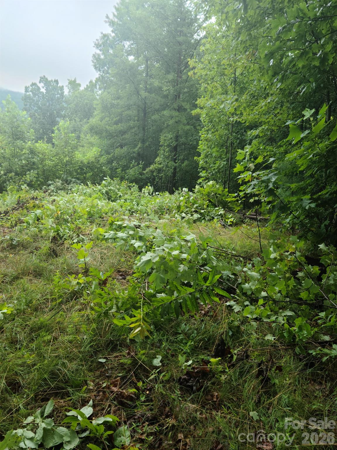 0 Osprey Lane Property Photo 8