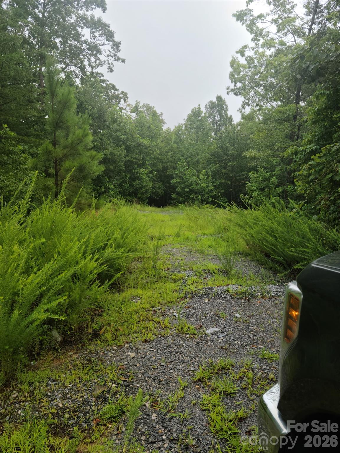 0 Osprey Lane Property Photo 11