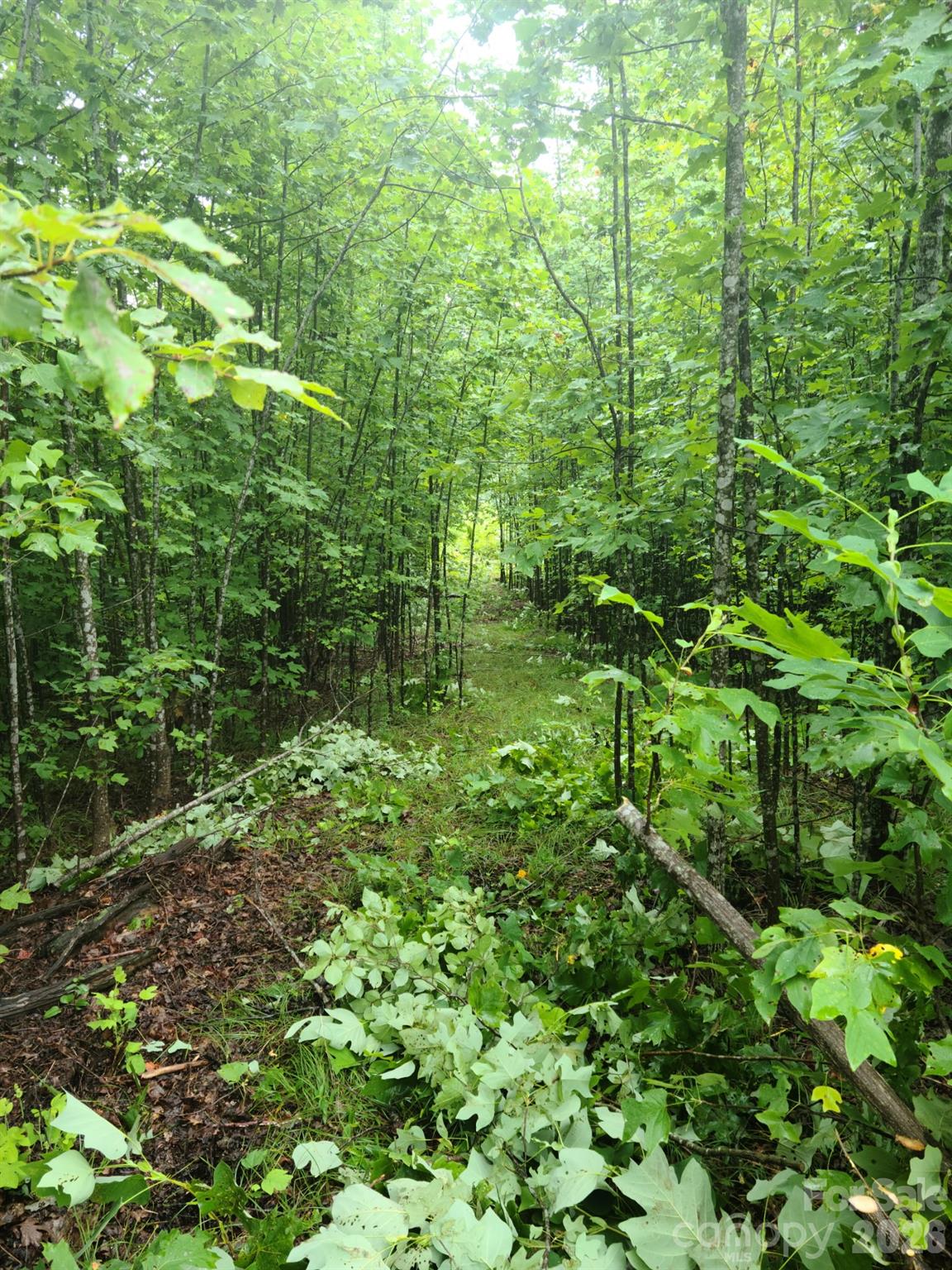 0 Osprey Lane Property Photo 13