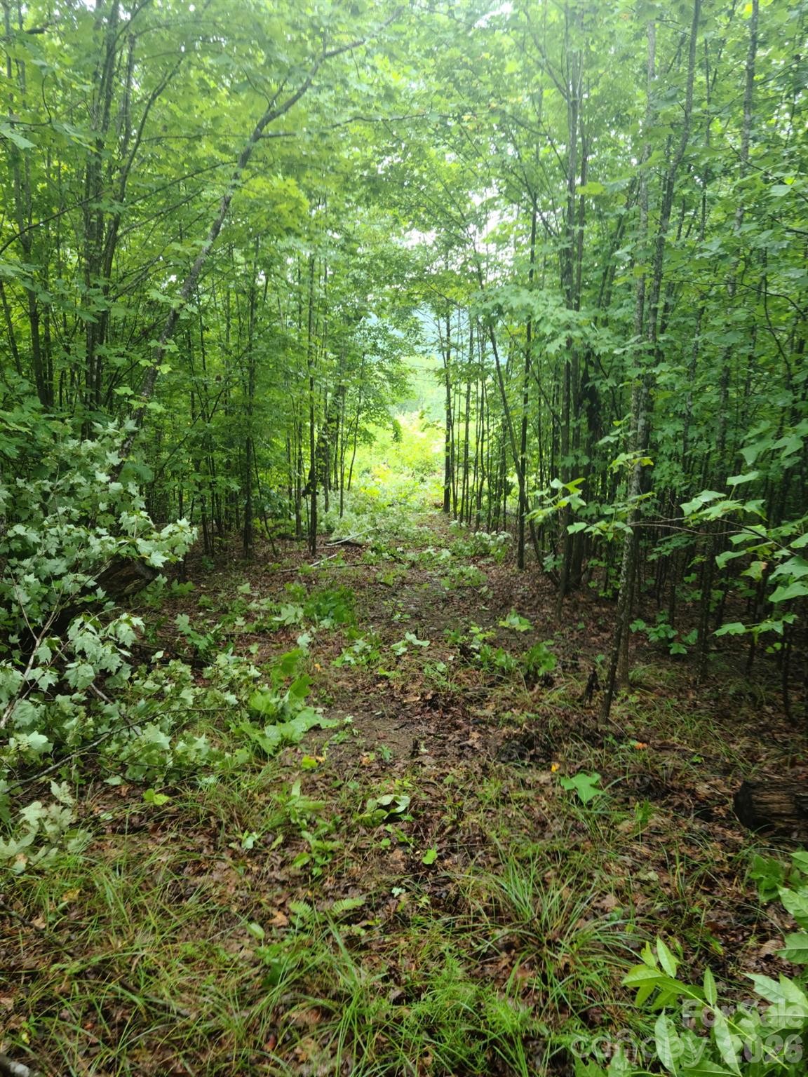0 Osprey Lane Property Photo 18