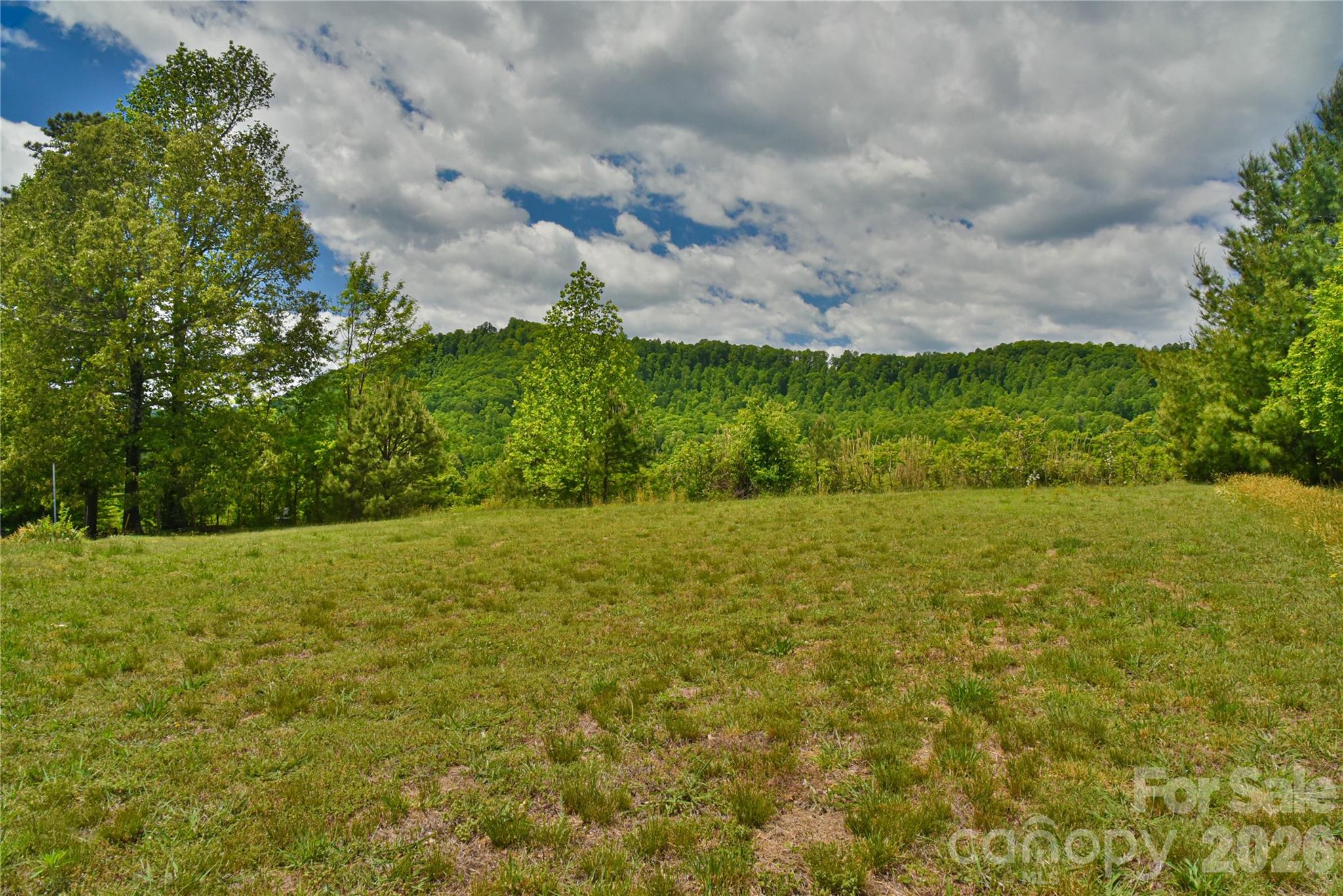 116 Kay Road Property Photo 5