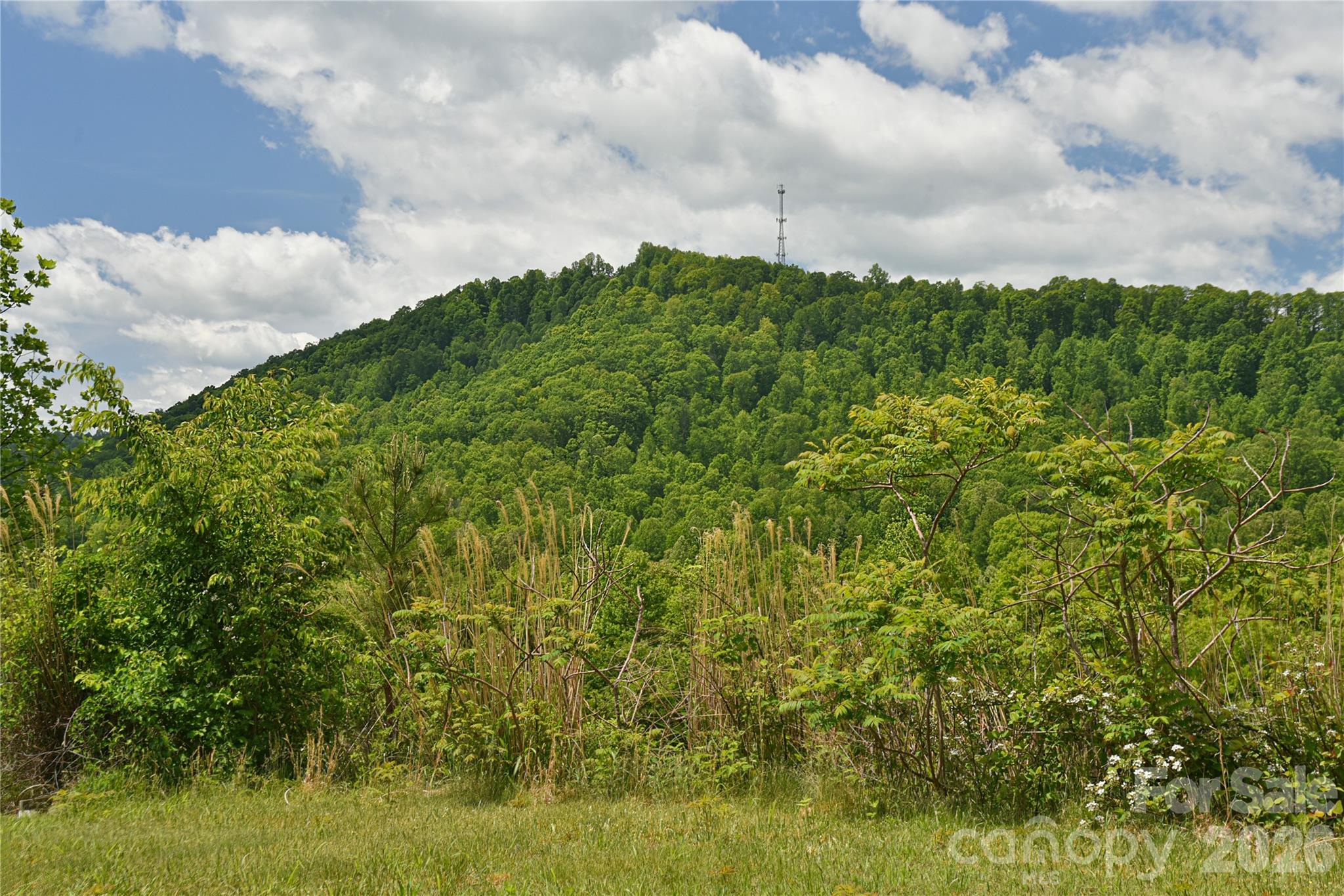 116 Kay Road Property Photo 32