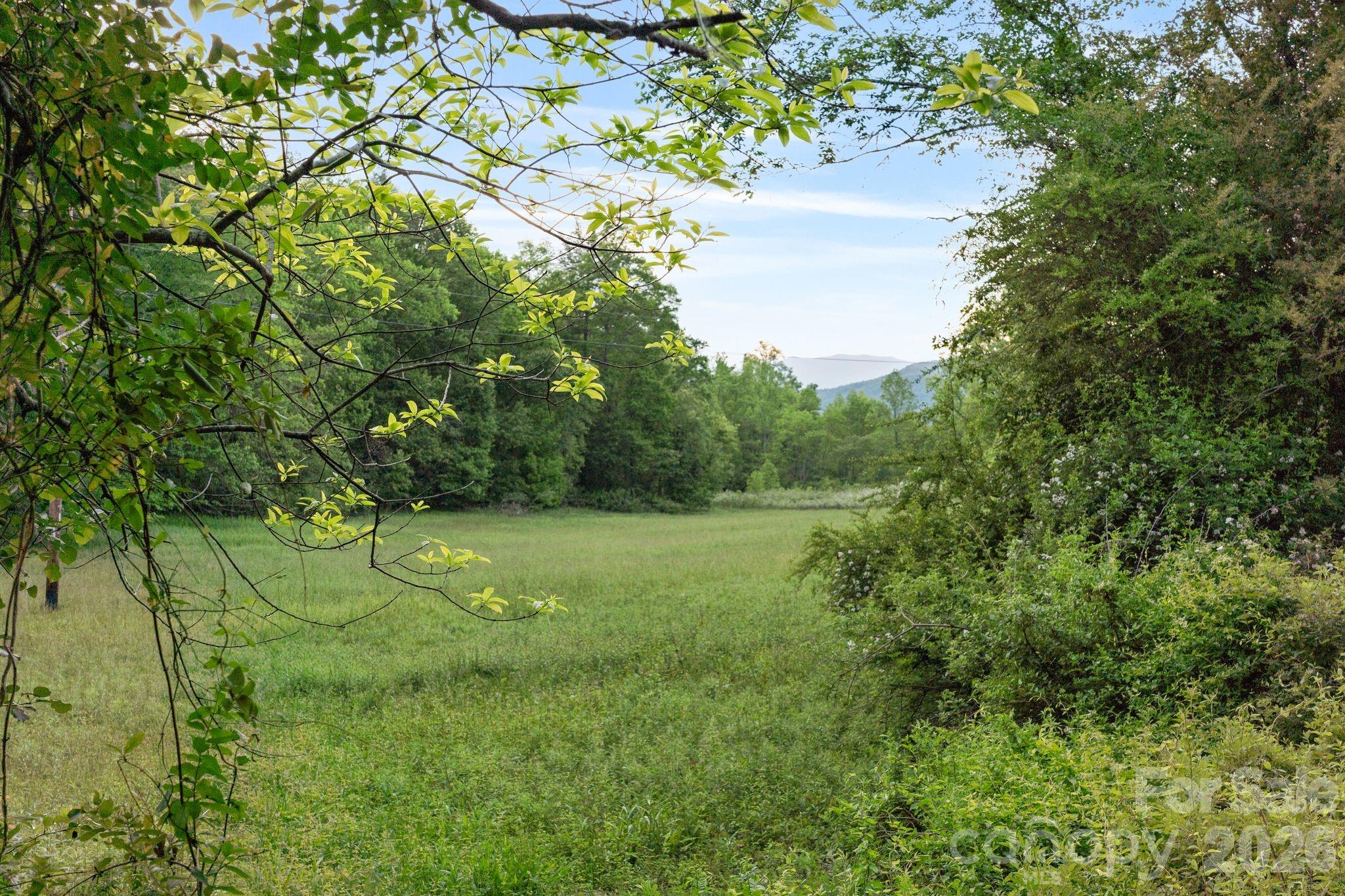 415 Reel Hollow Road Property Photo 31