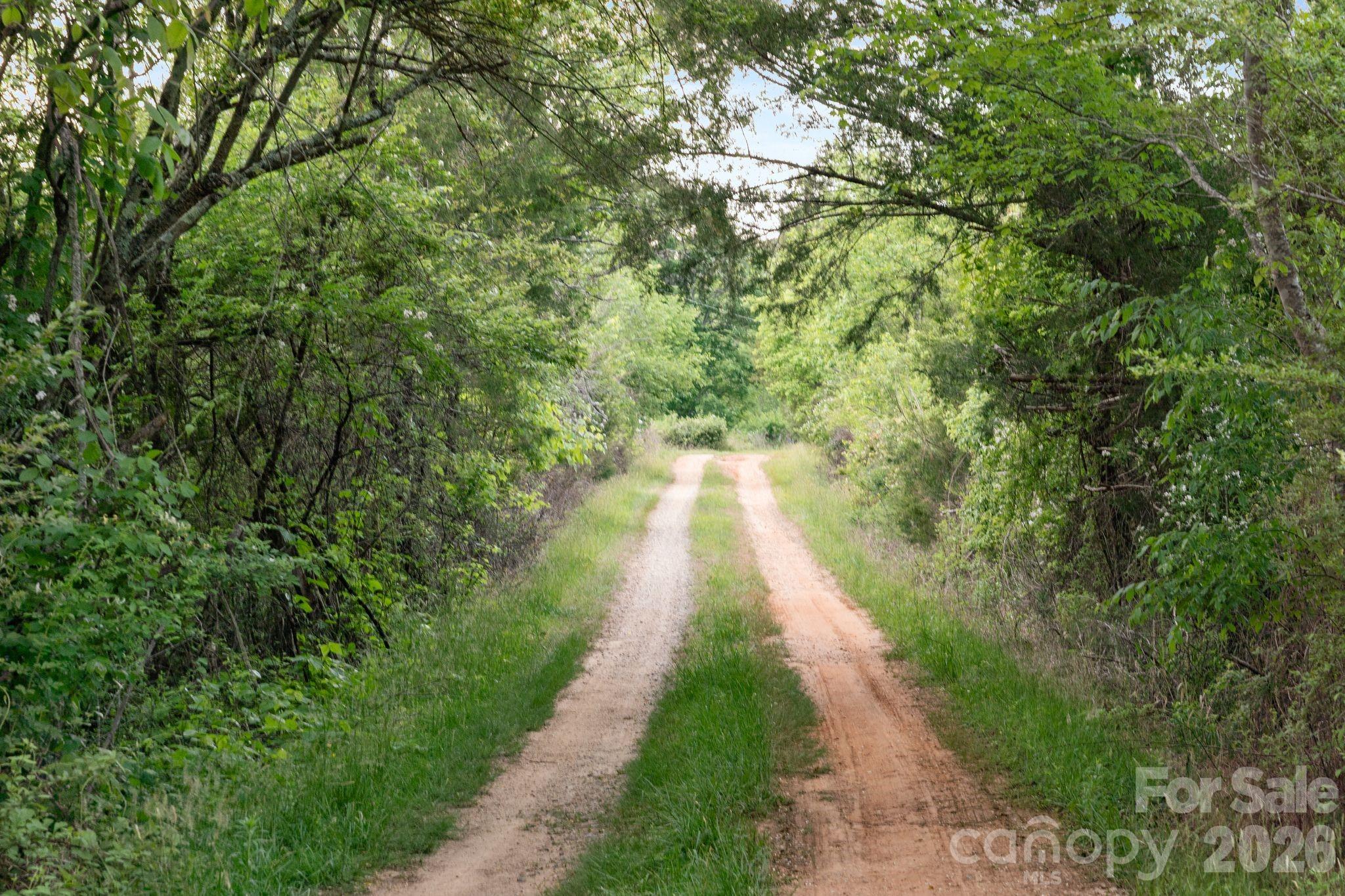 415 Reel Hollow Road Property Photo 32