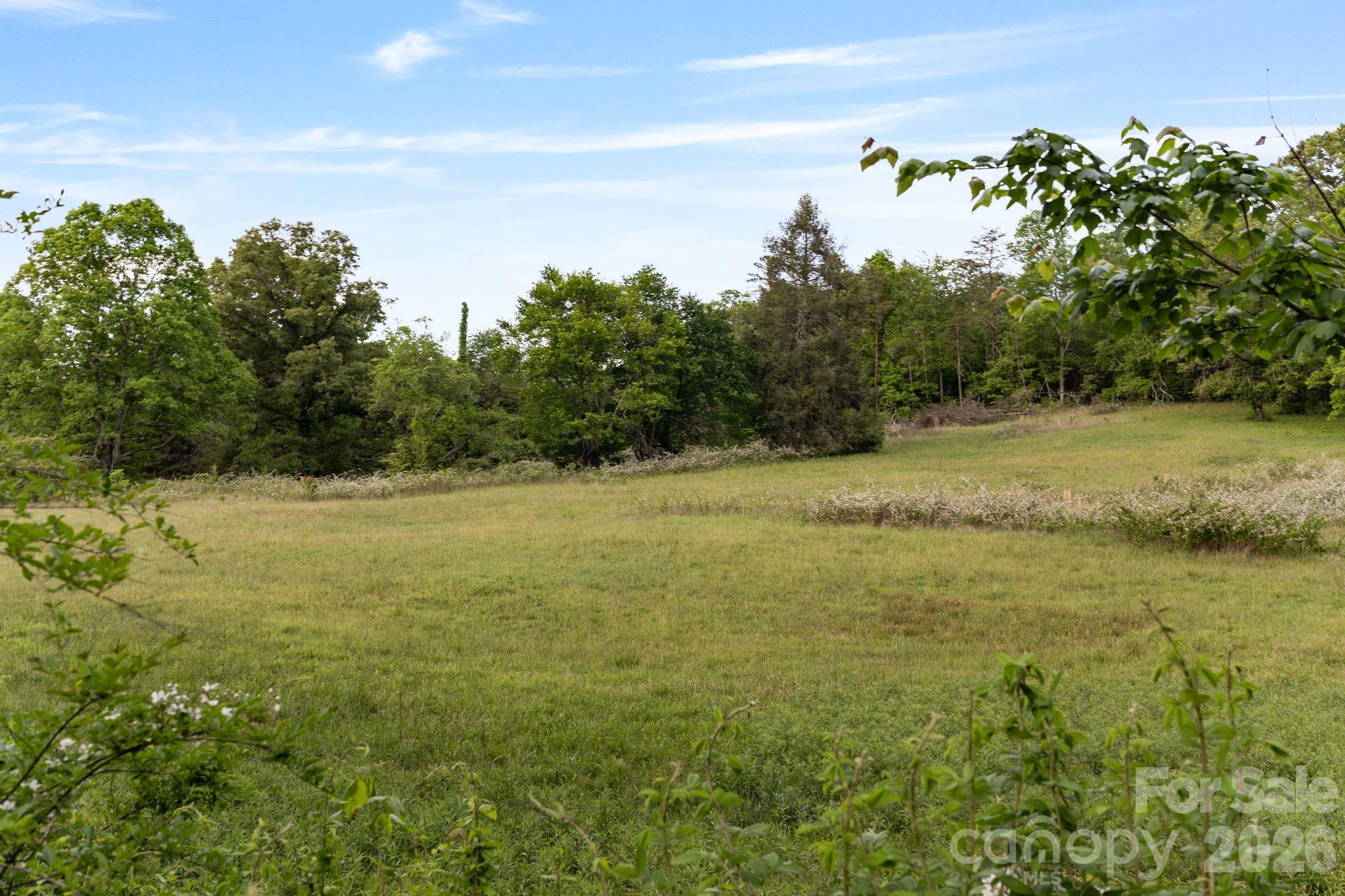 415 Reel Hollow Road Property Photo 33