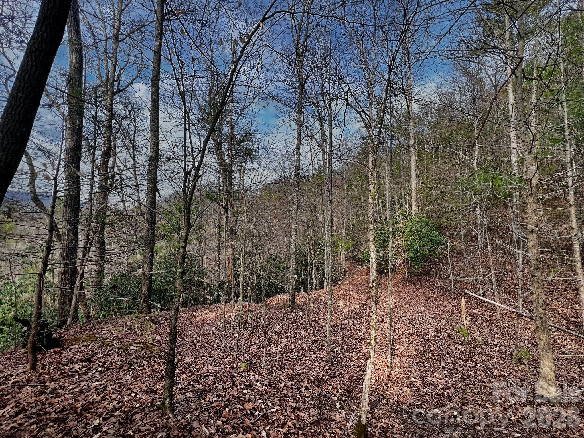 Lot 127 Bear River Lodge Trail Property Photo 2