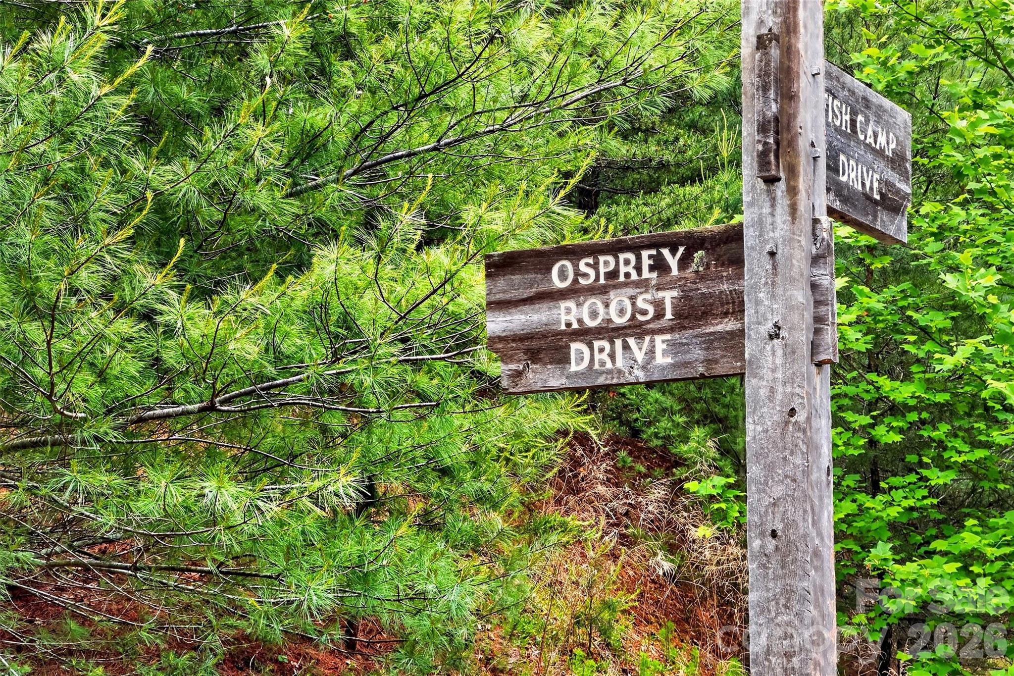 159 Osprey Roost Drive Property Photo 37