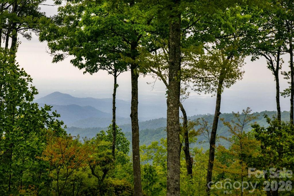 111 Wild Hog Creek Road Property Photo 27