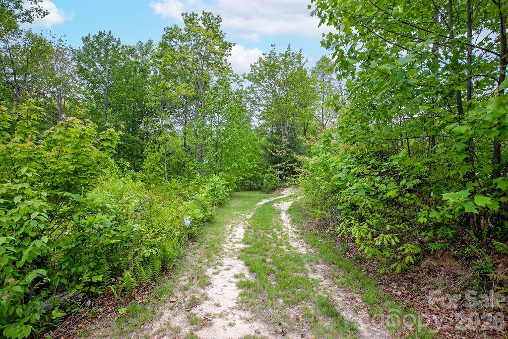111 Wild Hog Creek Road Property Photo 38