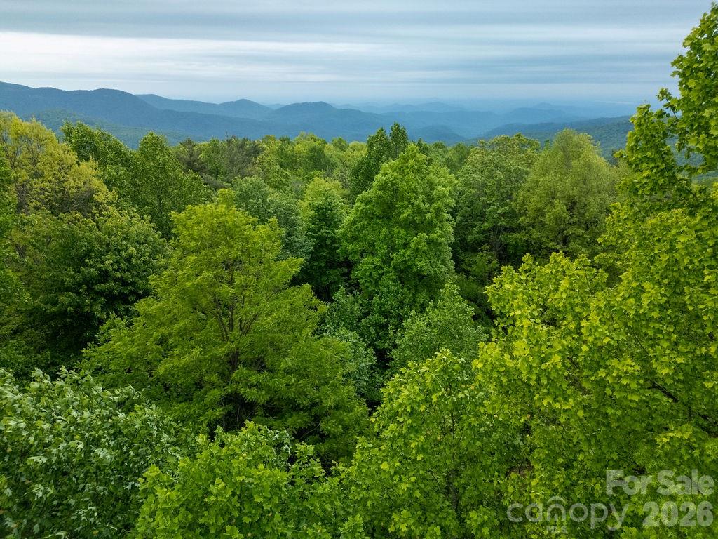 111 Wild Hog Creek Road Property Photo 48