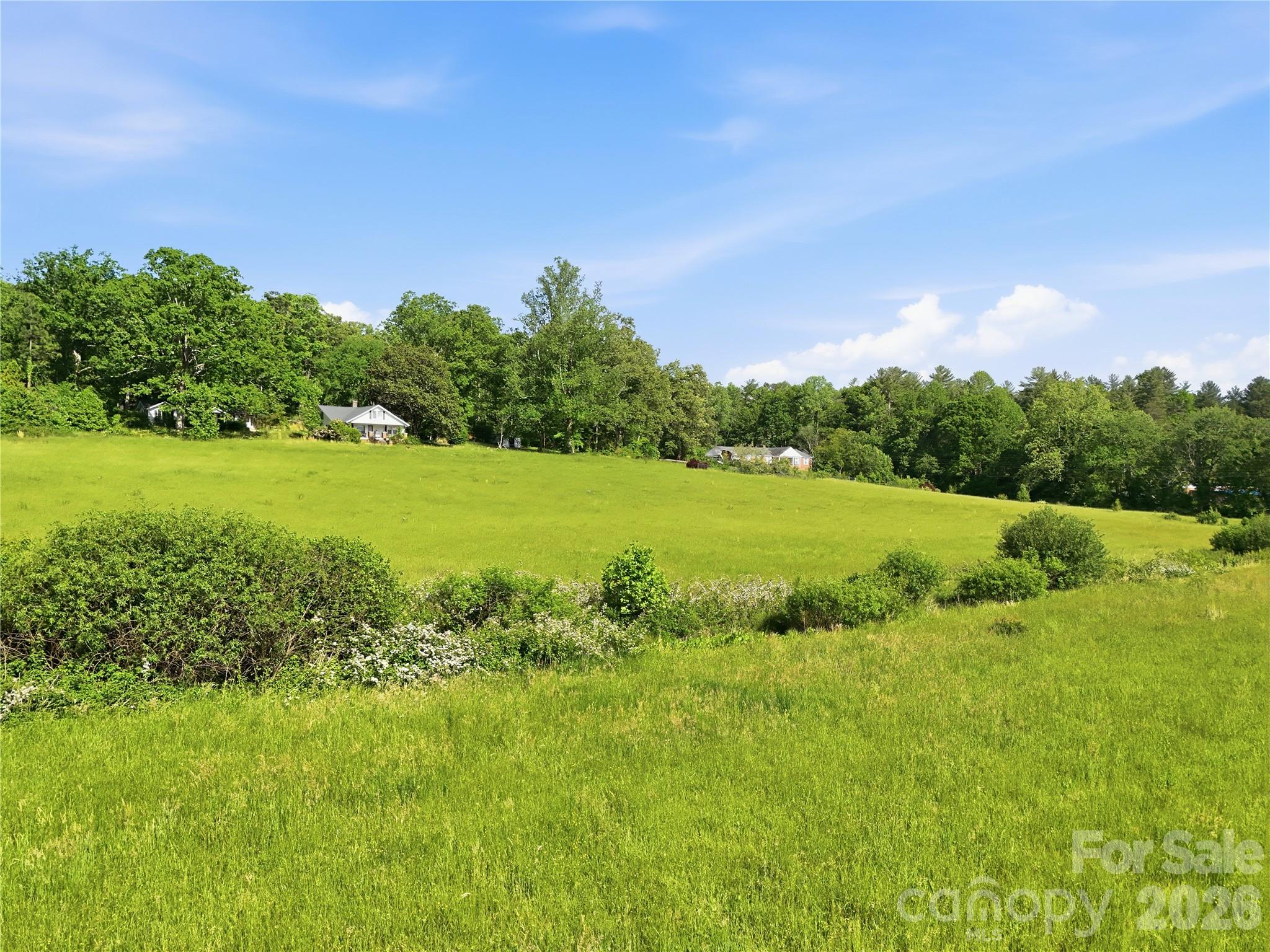 767 New Haw Creek Road Property Photo 12