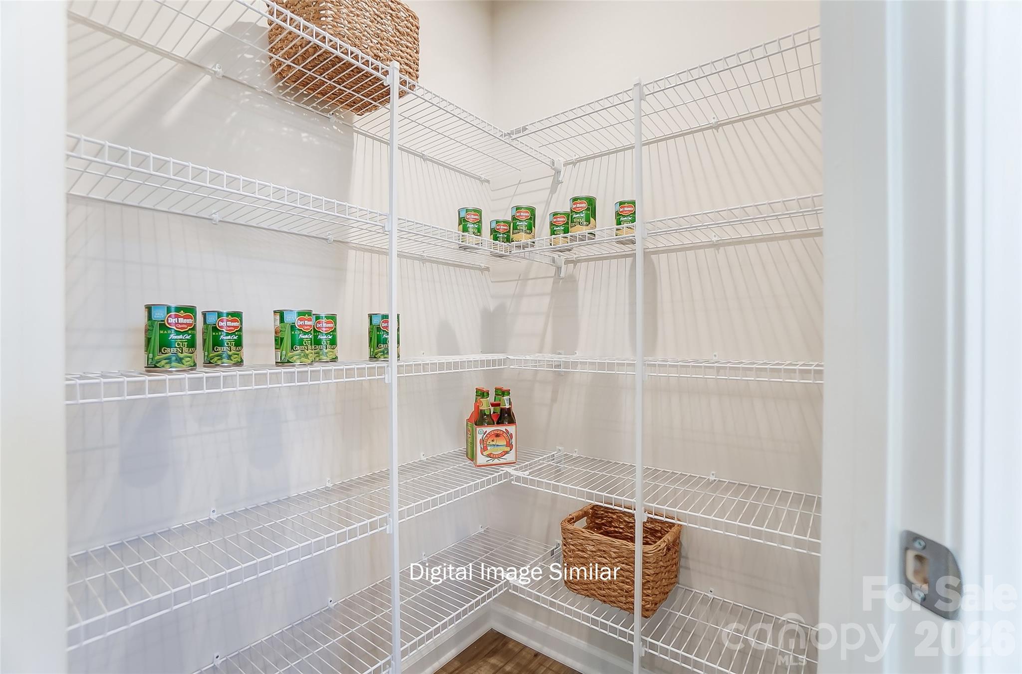 6032 Mallow Crossing Lane Property Photo 19
