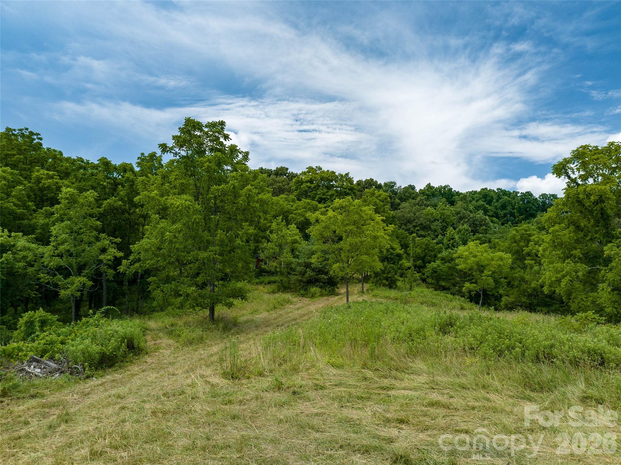 99999 Us 70 Highway Property Photo 4