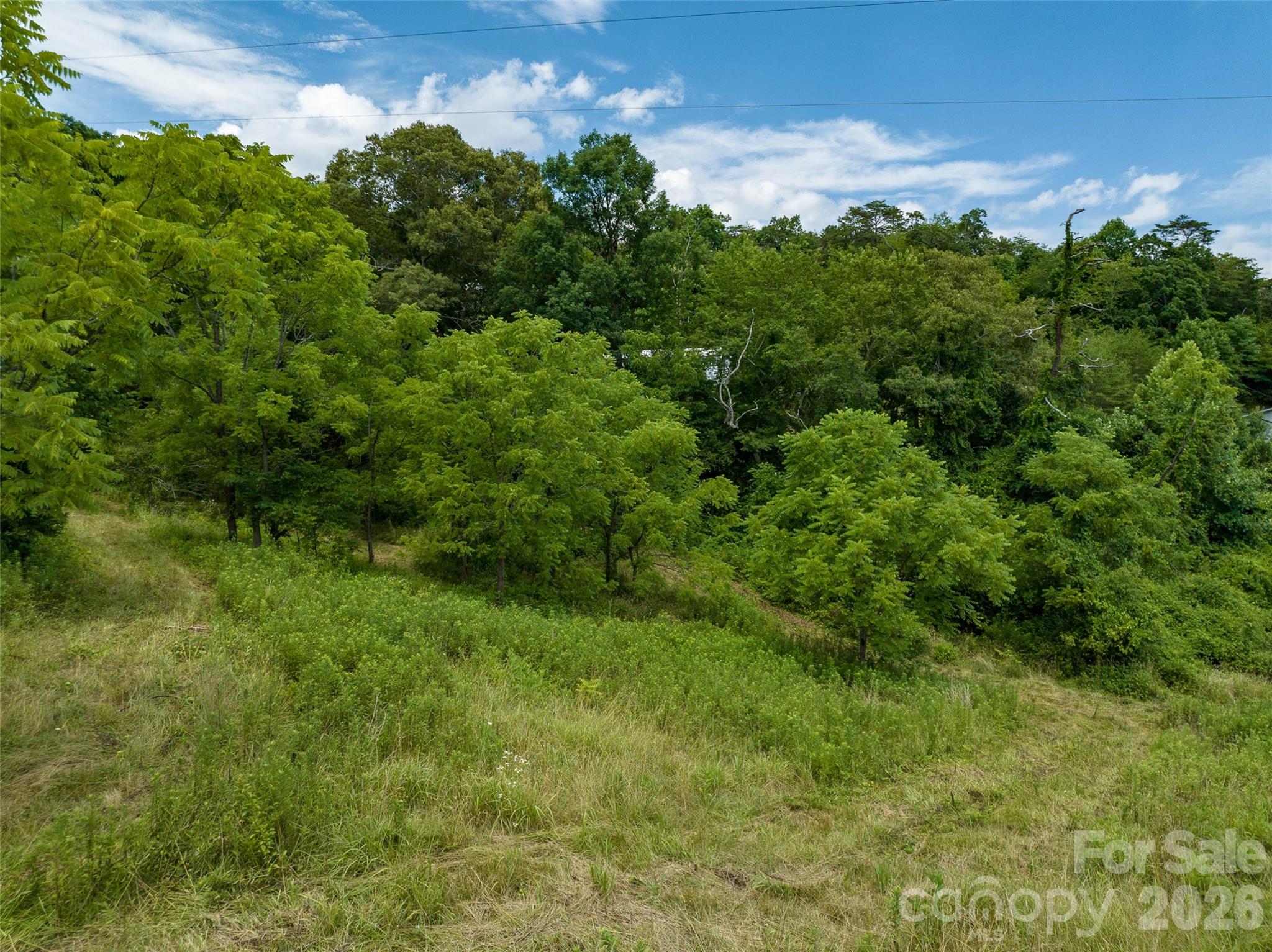 99999 Us 70 Highway Property Photo 5