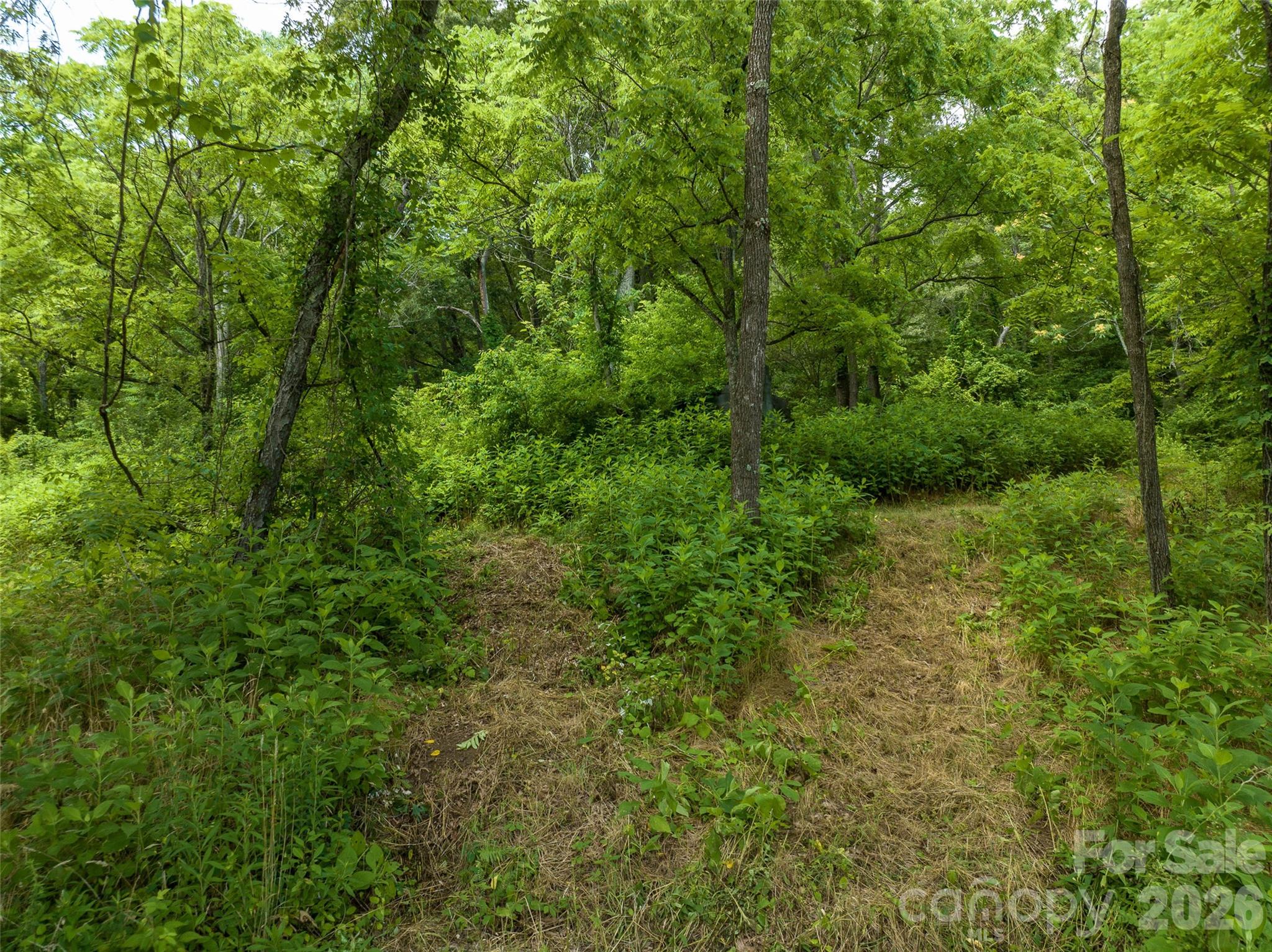 99999 Us 70 Highway Property Photo 15