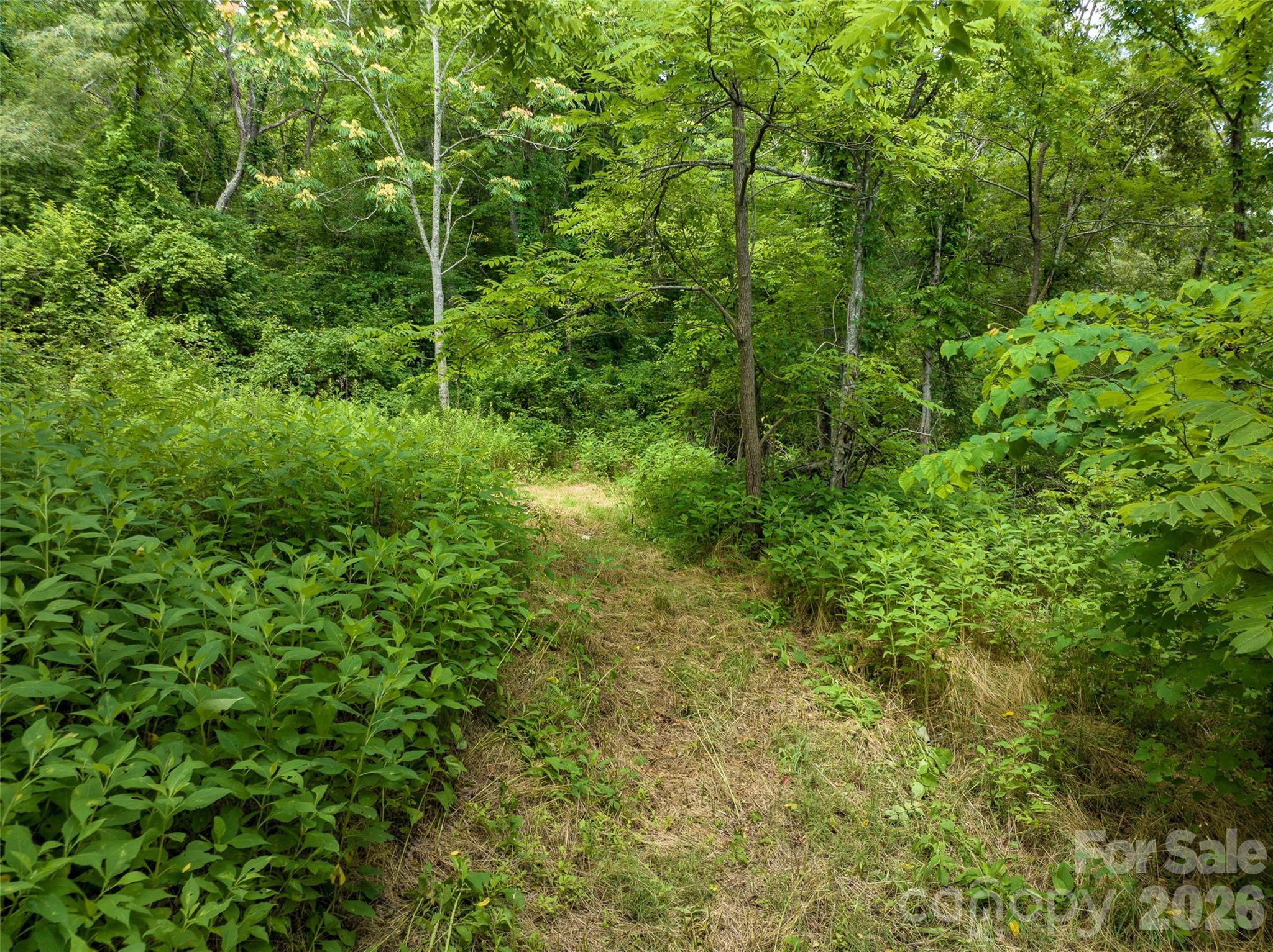 99999 Us 70 Highway Property Photo 16