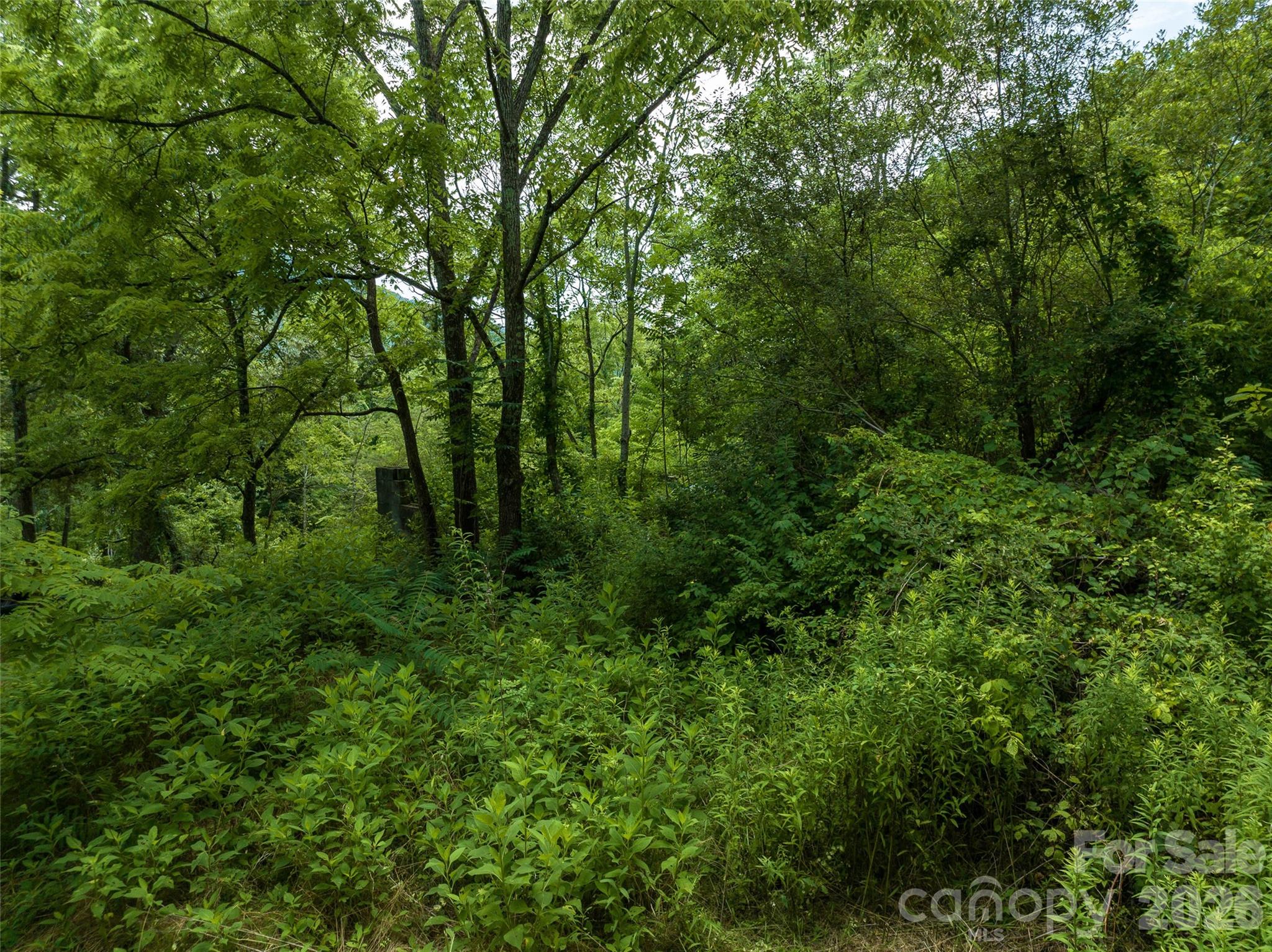99999 Us 70 Highway Property Photo 17
